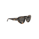 A pair of tortoiseshell sunglasses with dark lenses.