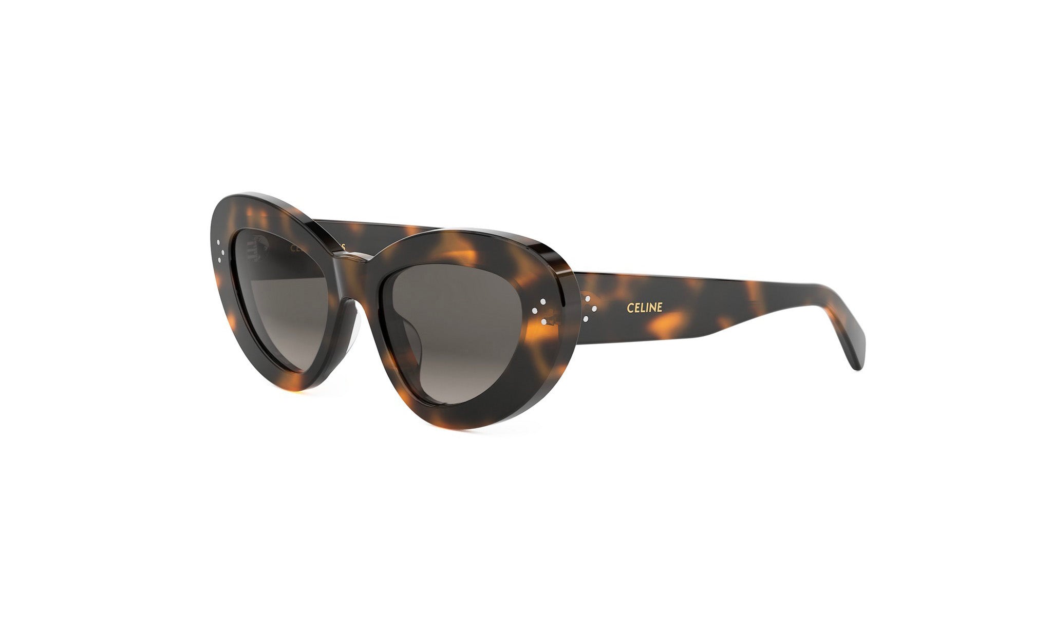 A pair of stylish sunglasses with a tortoise shell frame and dark lenses.