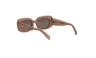 A pair of brown-framed sunglasses with a dark lens.