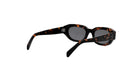 A pair of sunglasses with dark tortoiseshell frames and dark lenses.