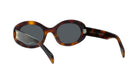 A pair of brown tortoiseshell sunglasses with dark lenses.