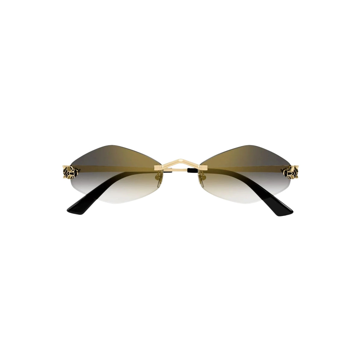 CARTIER CT 0433 - Jorge Oculista