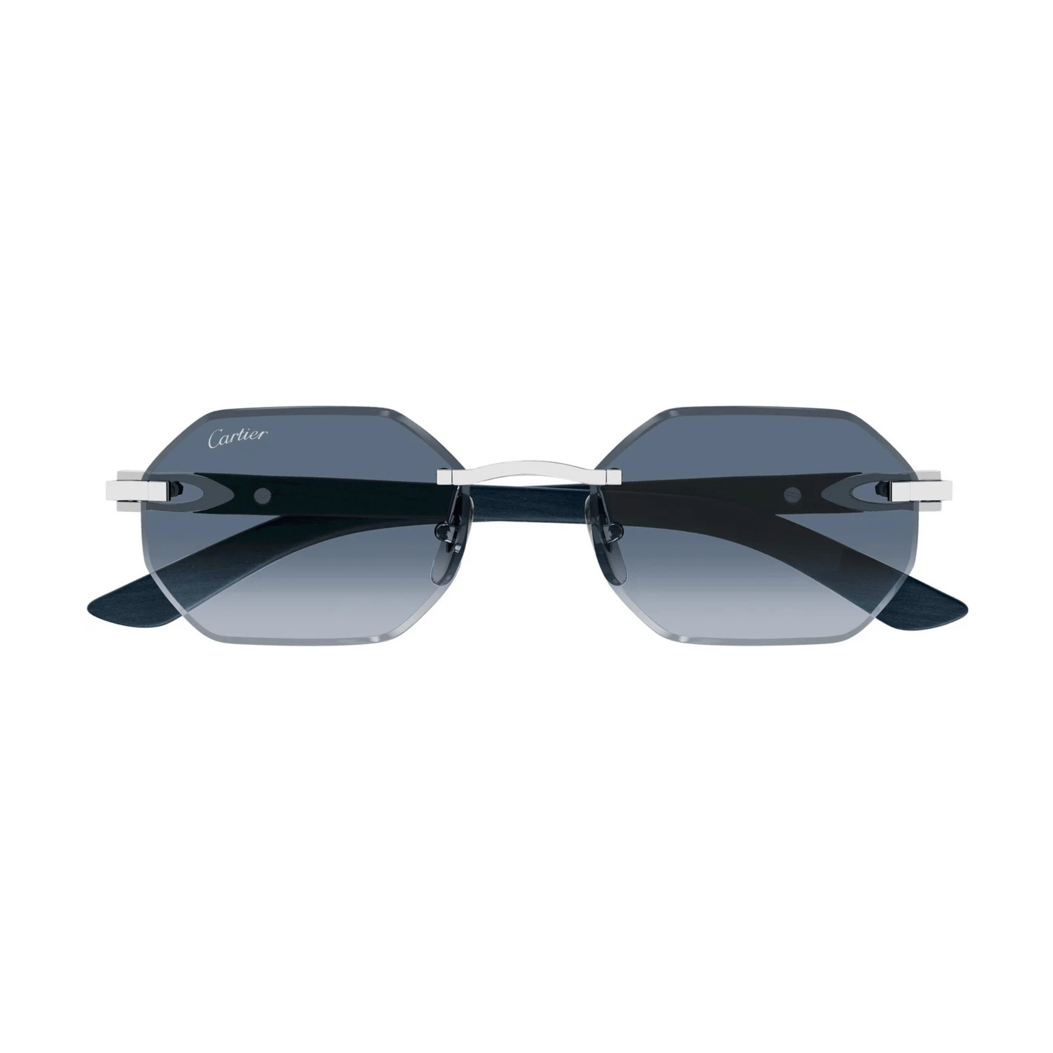 CARTIER CT 0439 - Jorge Oculista