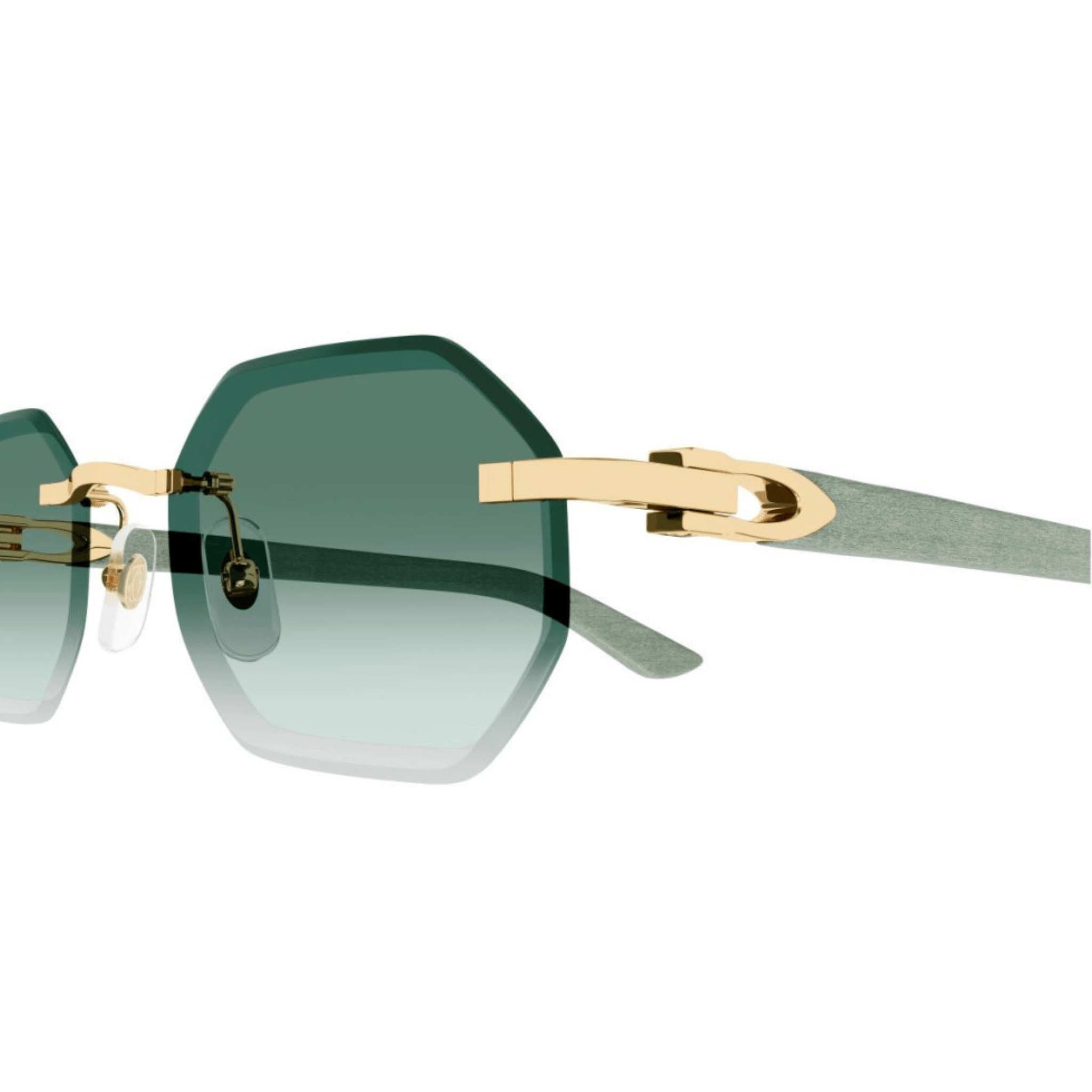 CARTIER CT 0439 - Jorge Oculista