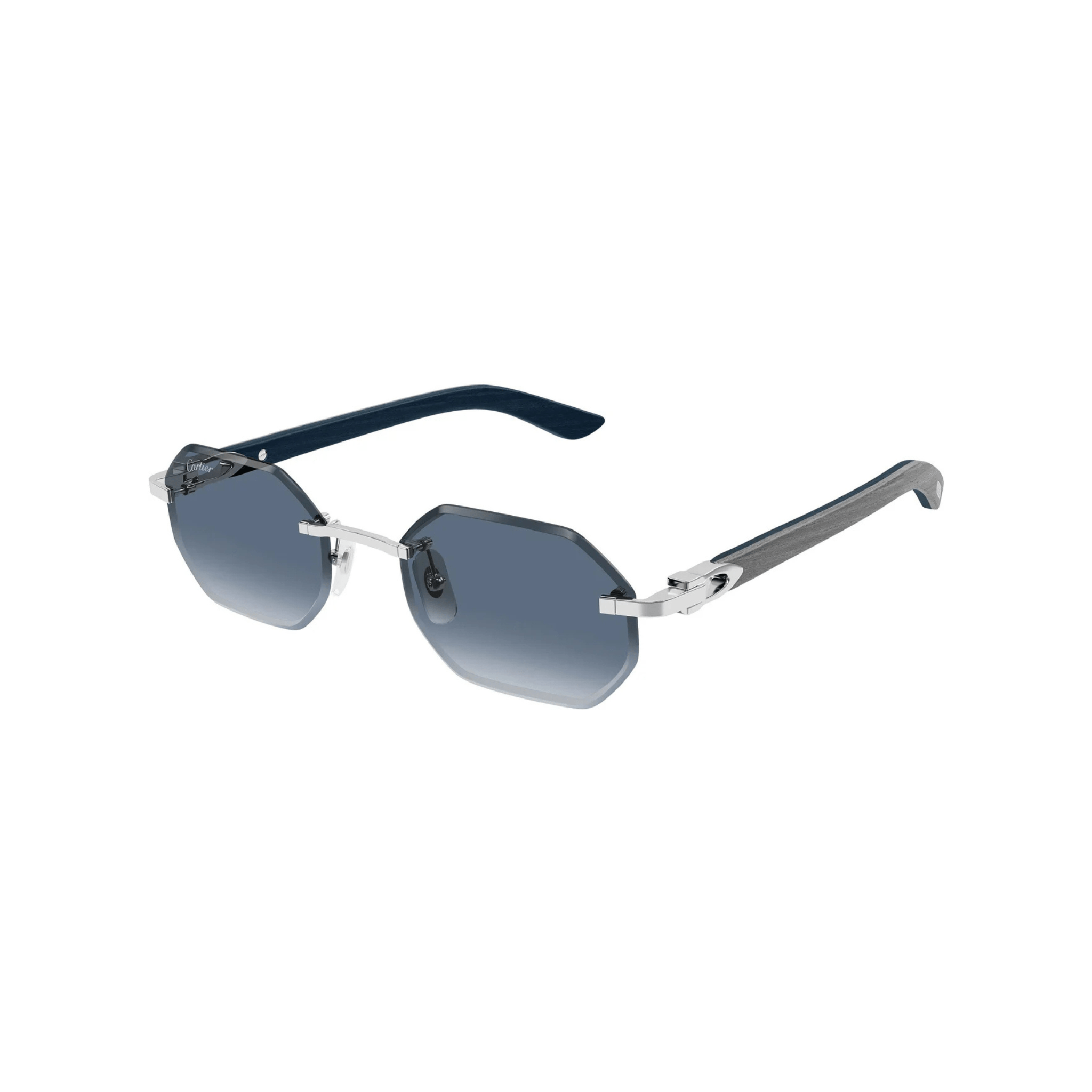 CARTIER CT 0439 - Jorge Oculista