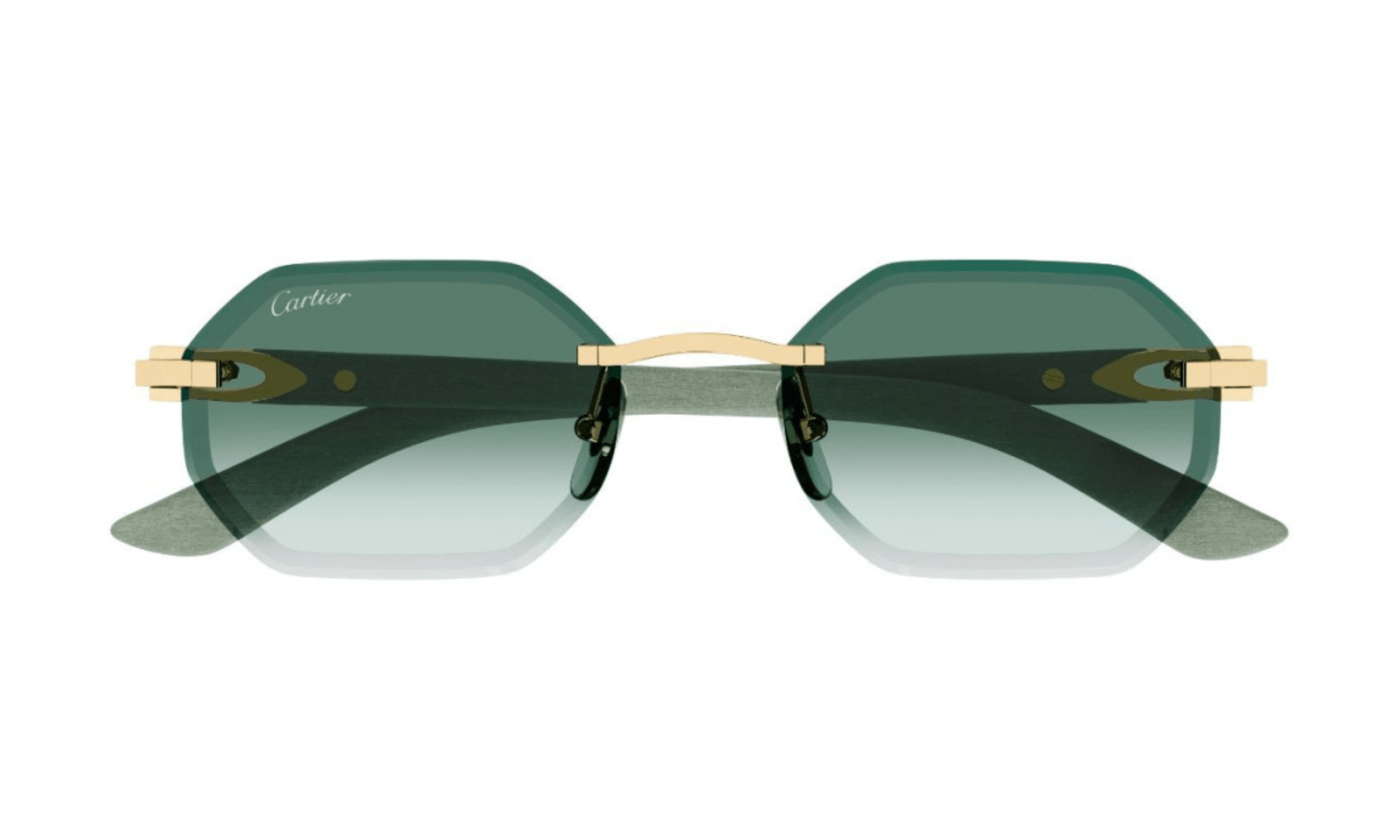 CARTIER CT 0439 - Jorge Oculista