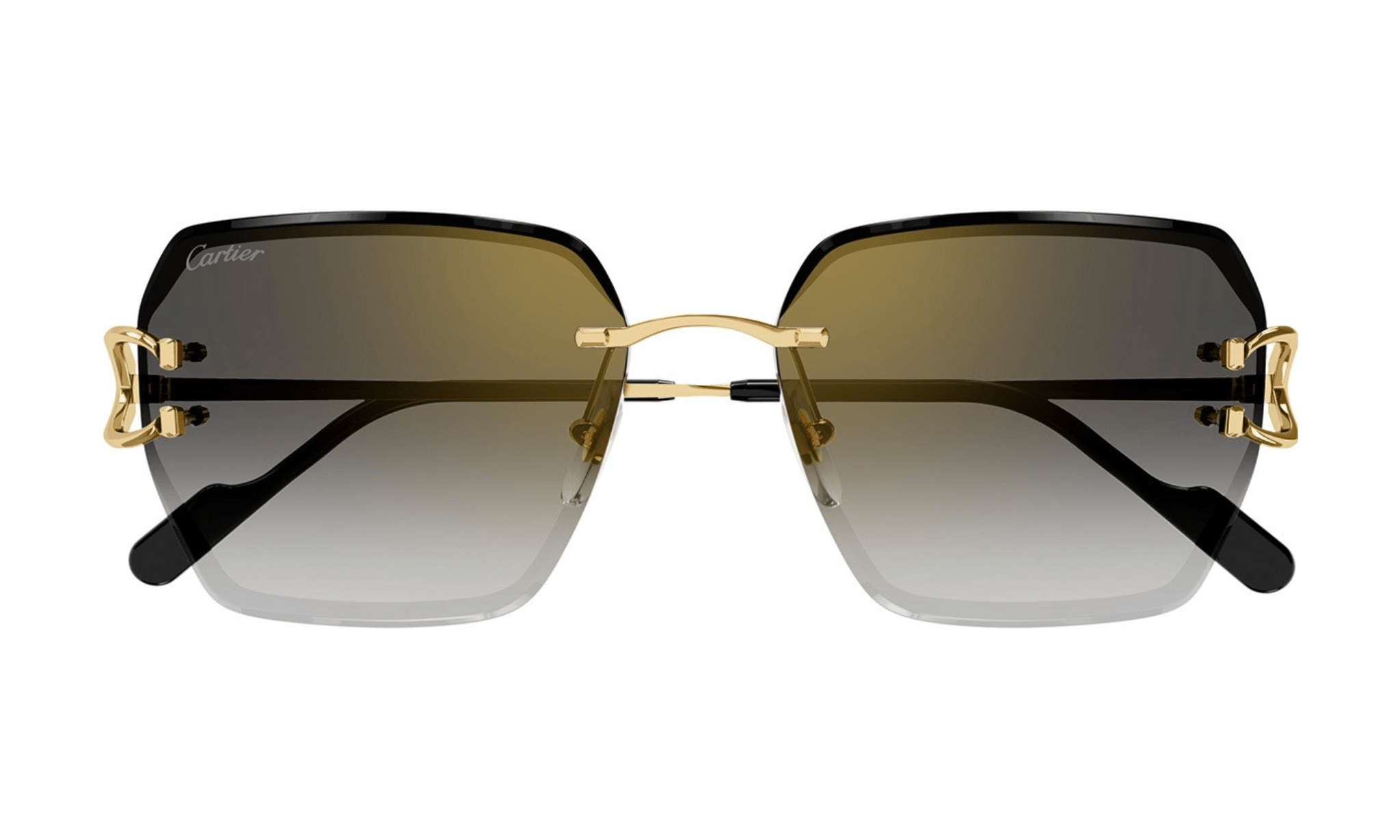 CARTIER CT 0466 - Jorge Oculista