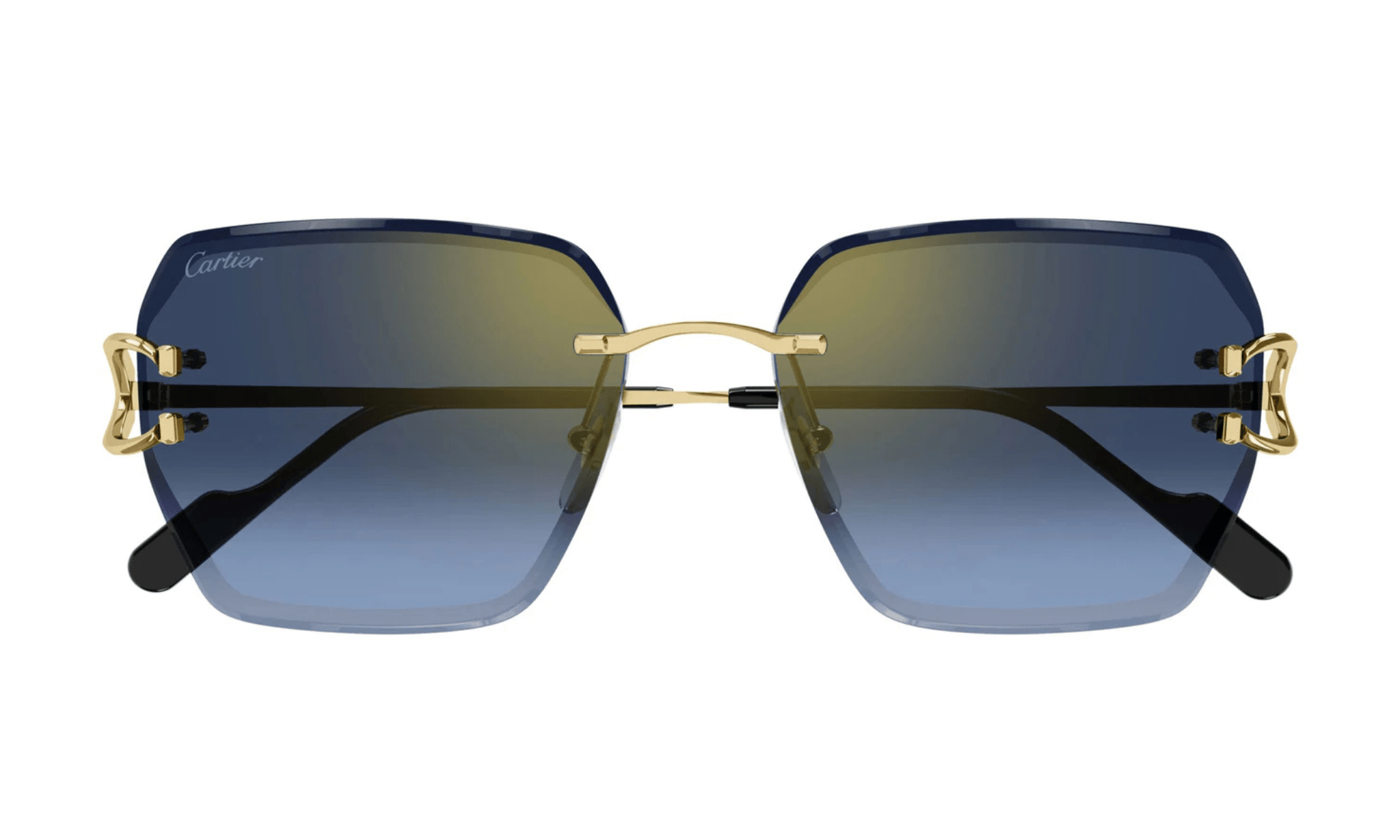 CARTIER CT 0466 - Jorge Oculista