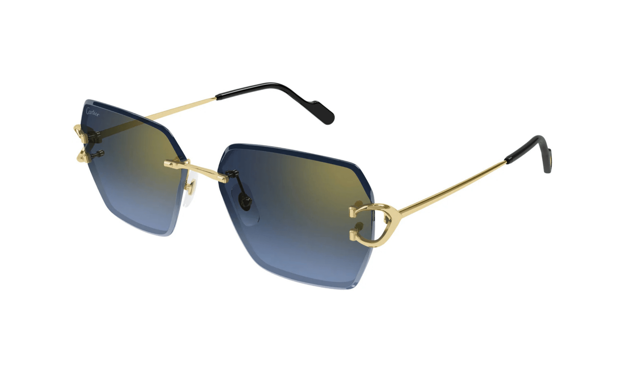 CARTIER CT 0466 - Jorge Oculista