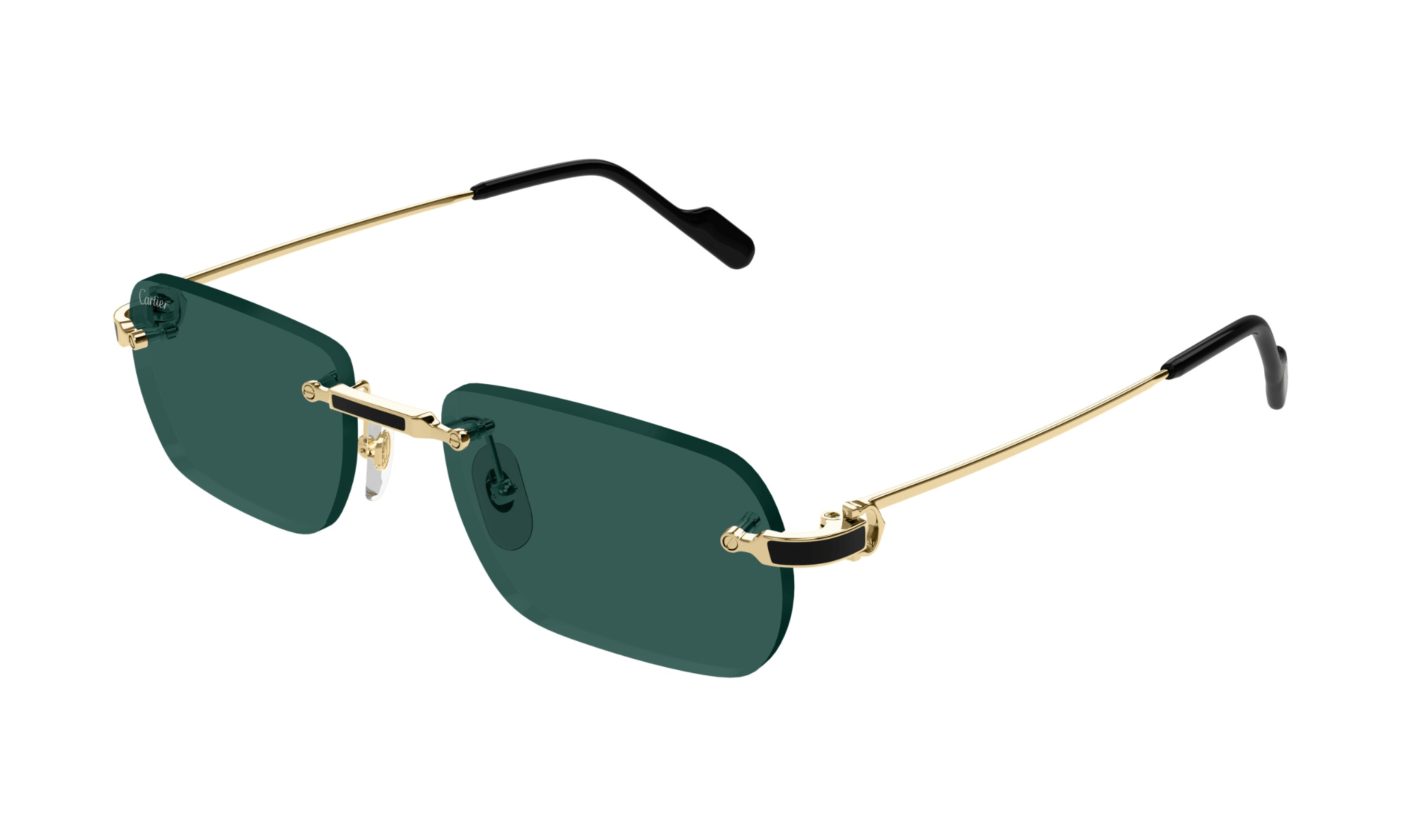 CARTIER CT 0498 - Jorge Oculista