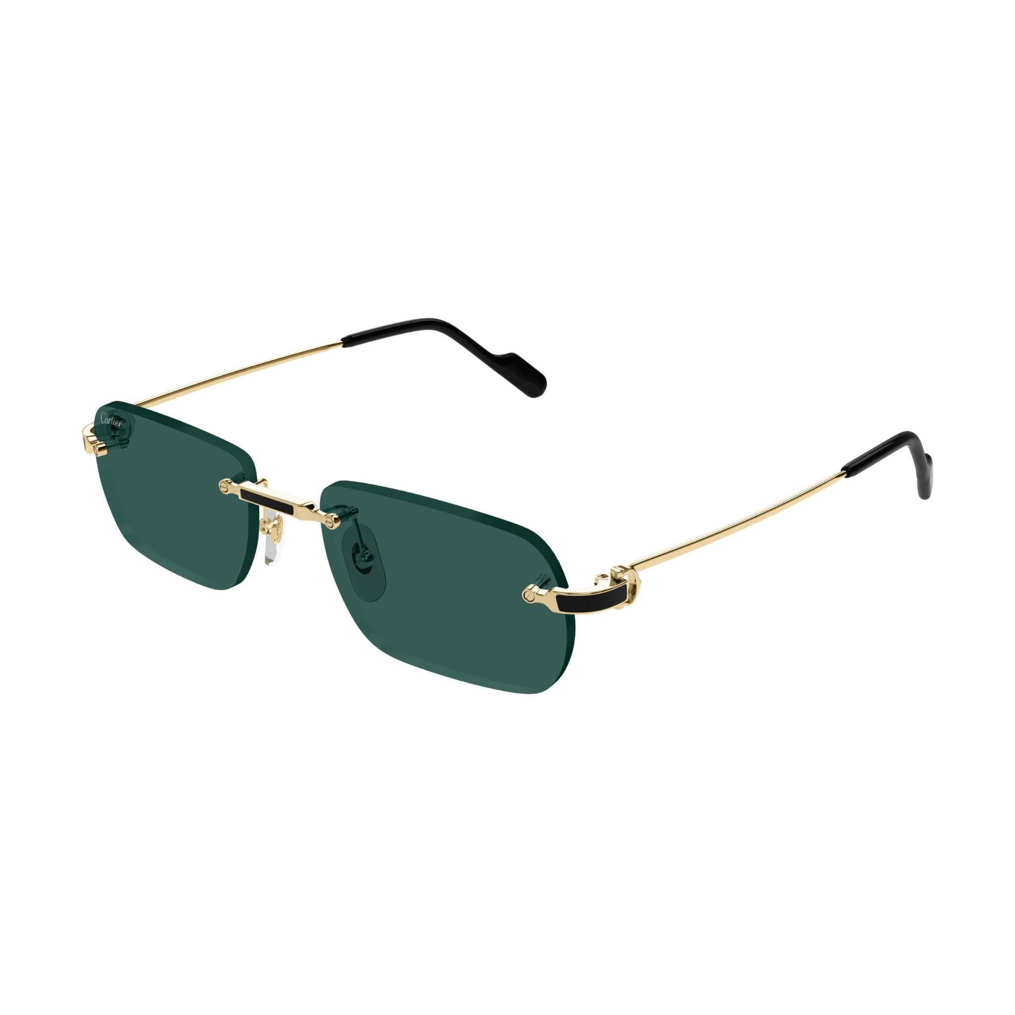 CARTIER CT 0498 - Jorge Oculista