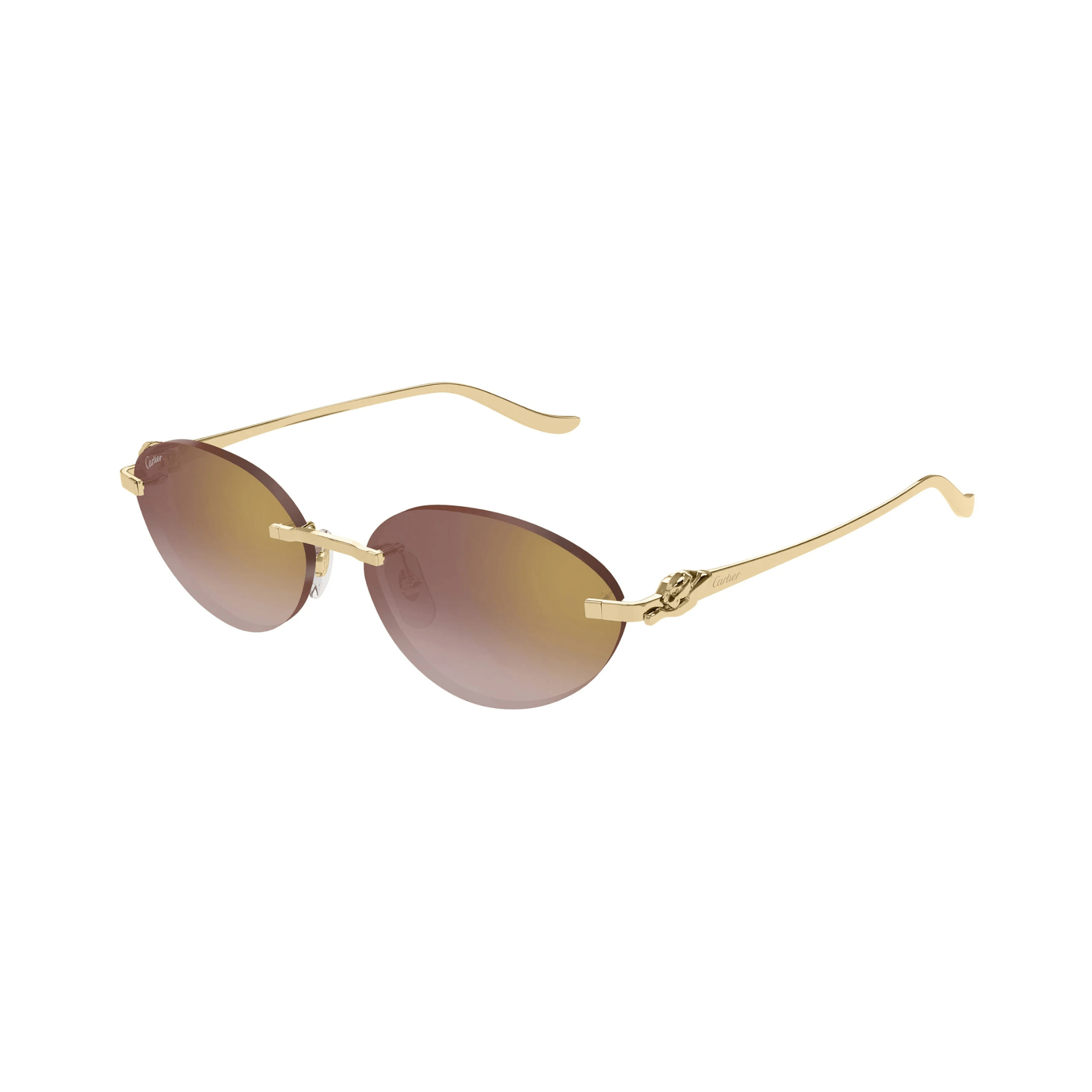 CARTIER CT 0504 - Jorge Oculista