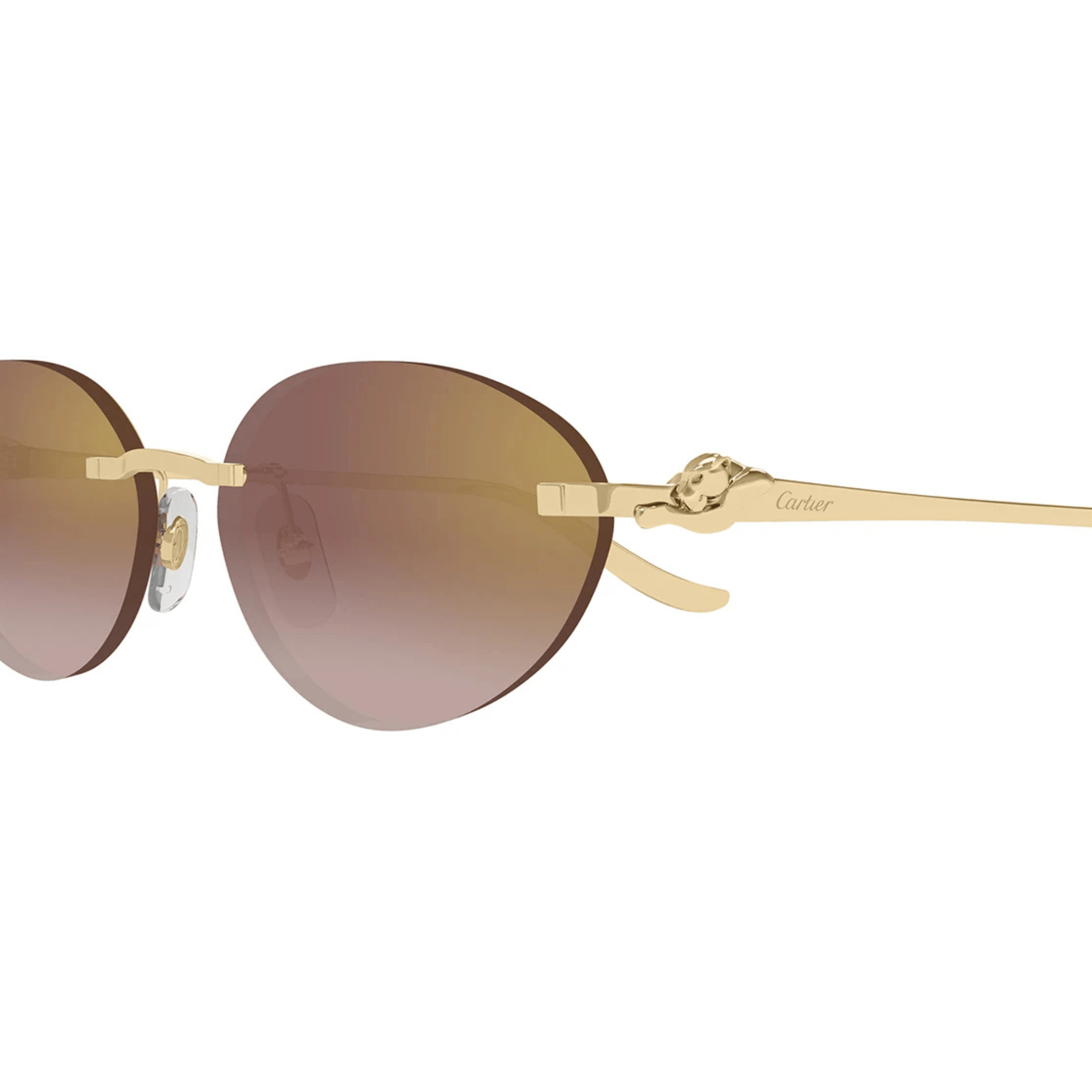 CARTIER CT 0504 - Jorge Oculista