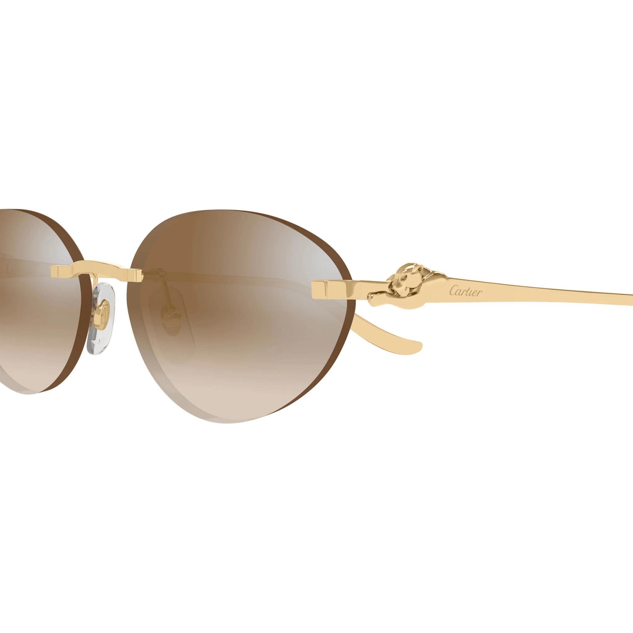 CARTIER CT 0504 - Jorge Oculista