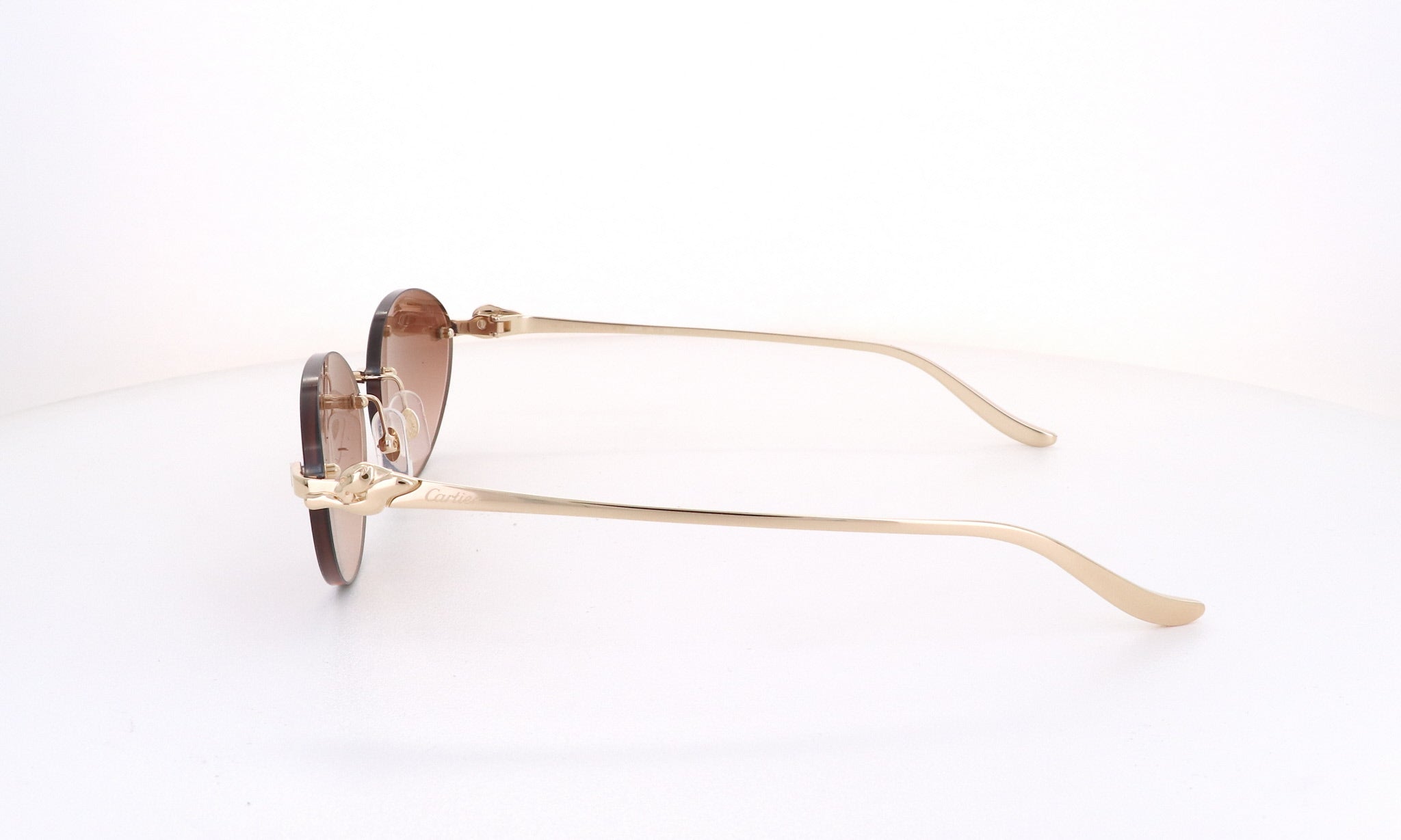 CARTIER CT 0504 - Jorge Oculista