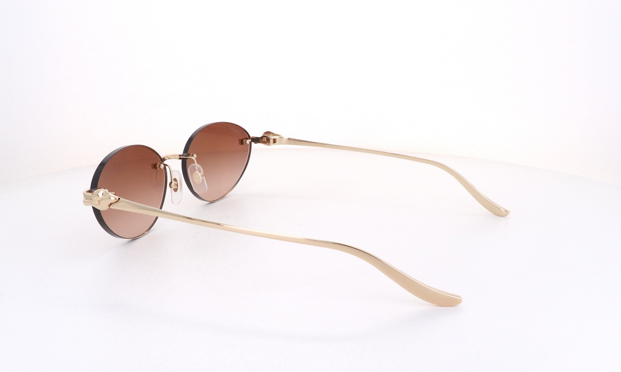 CARTIER CT 0504 - Jorge Oculista