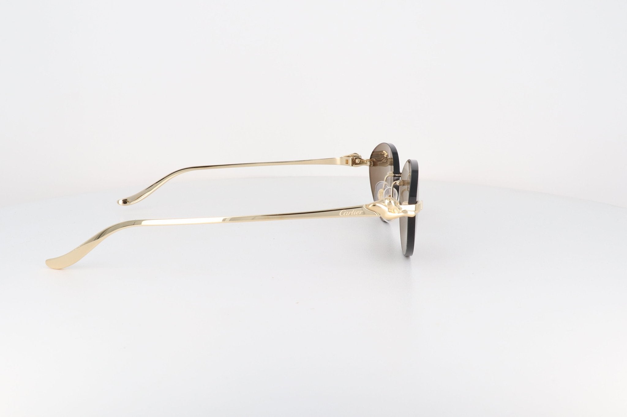 CARTIER CT 0504 - Jorge Oculista