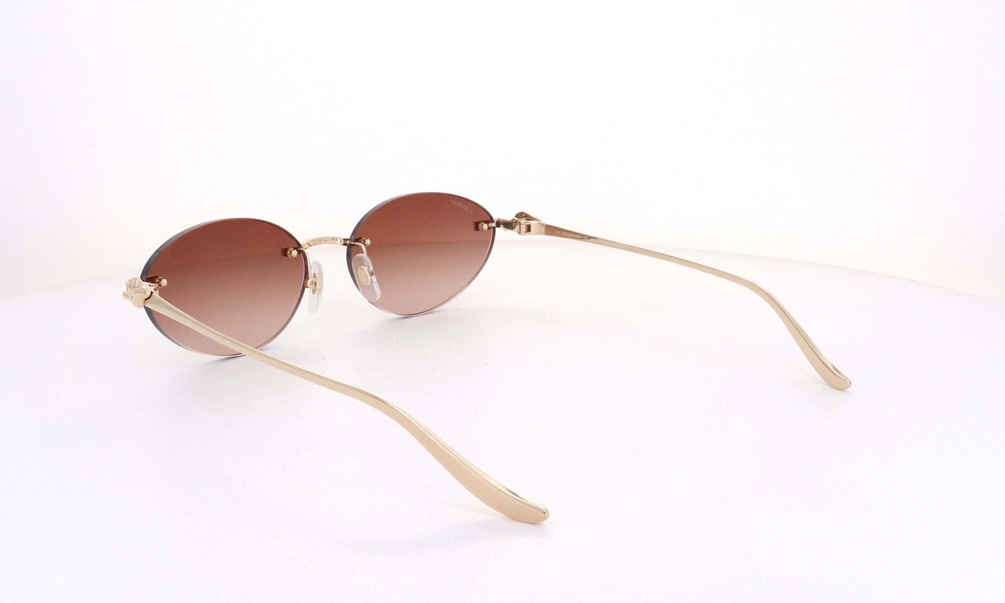 CARTIER CT 0504 - Jorge Oculista