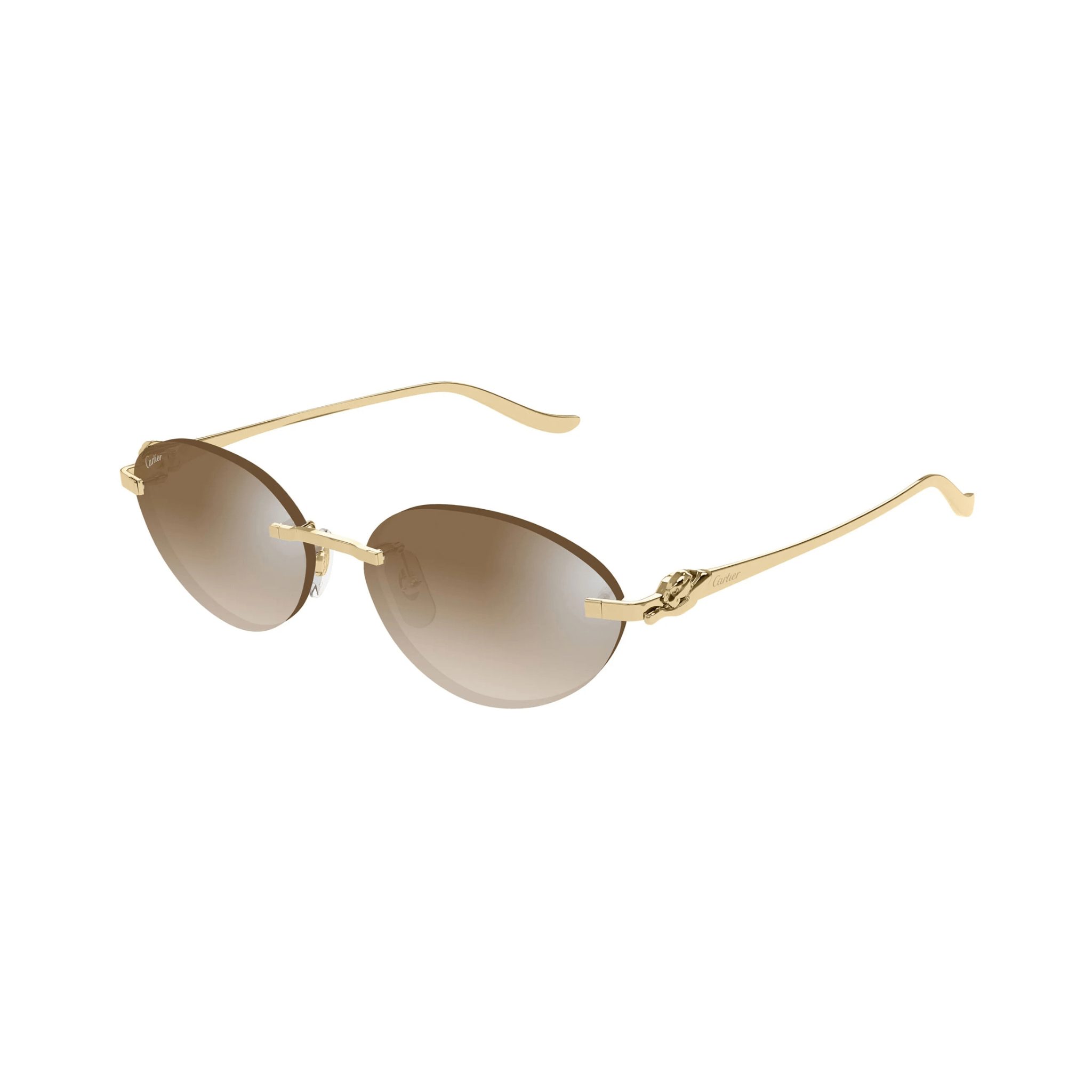 CARTIER CT 0504 - Jorge Oculista