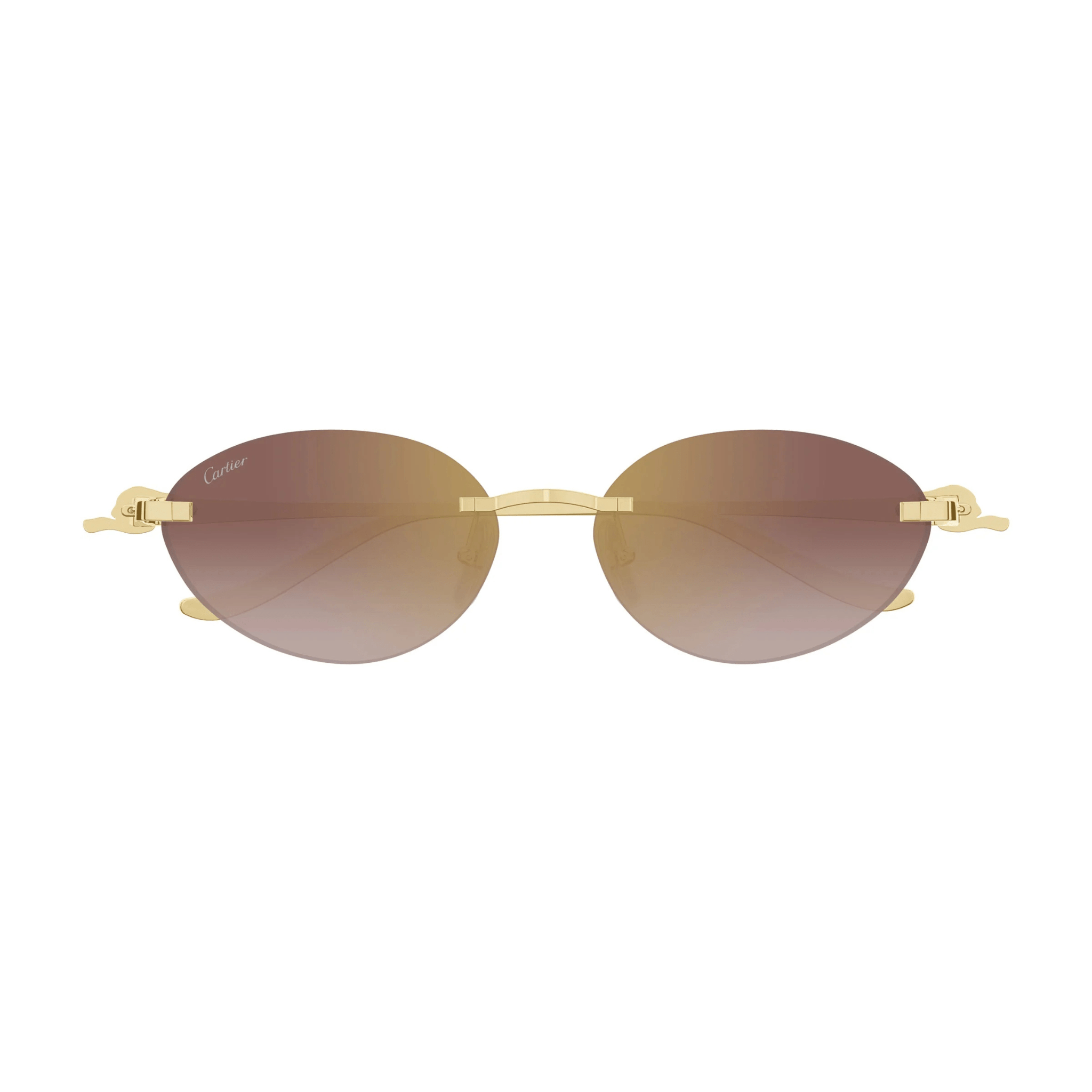 CARTIER CT 0504 - Jorge Oculista