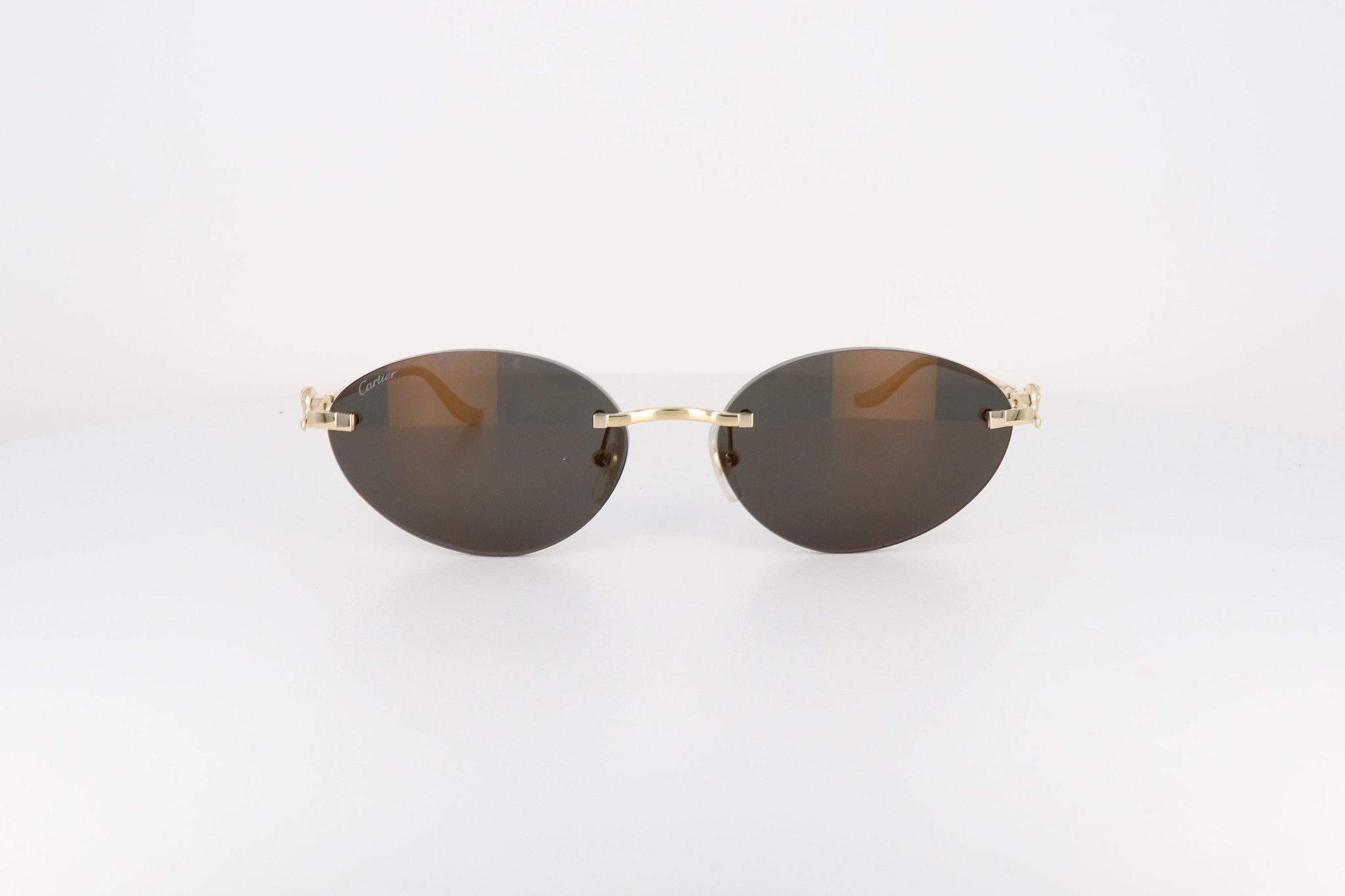 CARTIER CT 0504 - Jorge Oculista