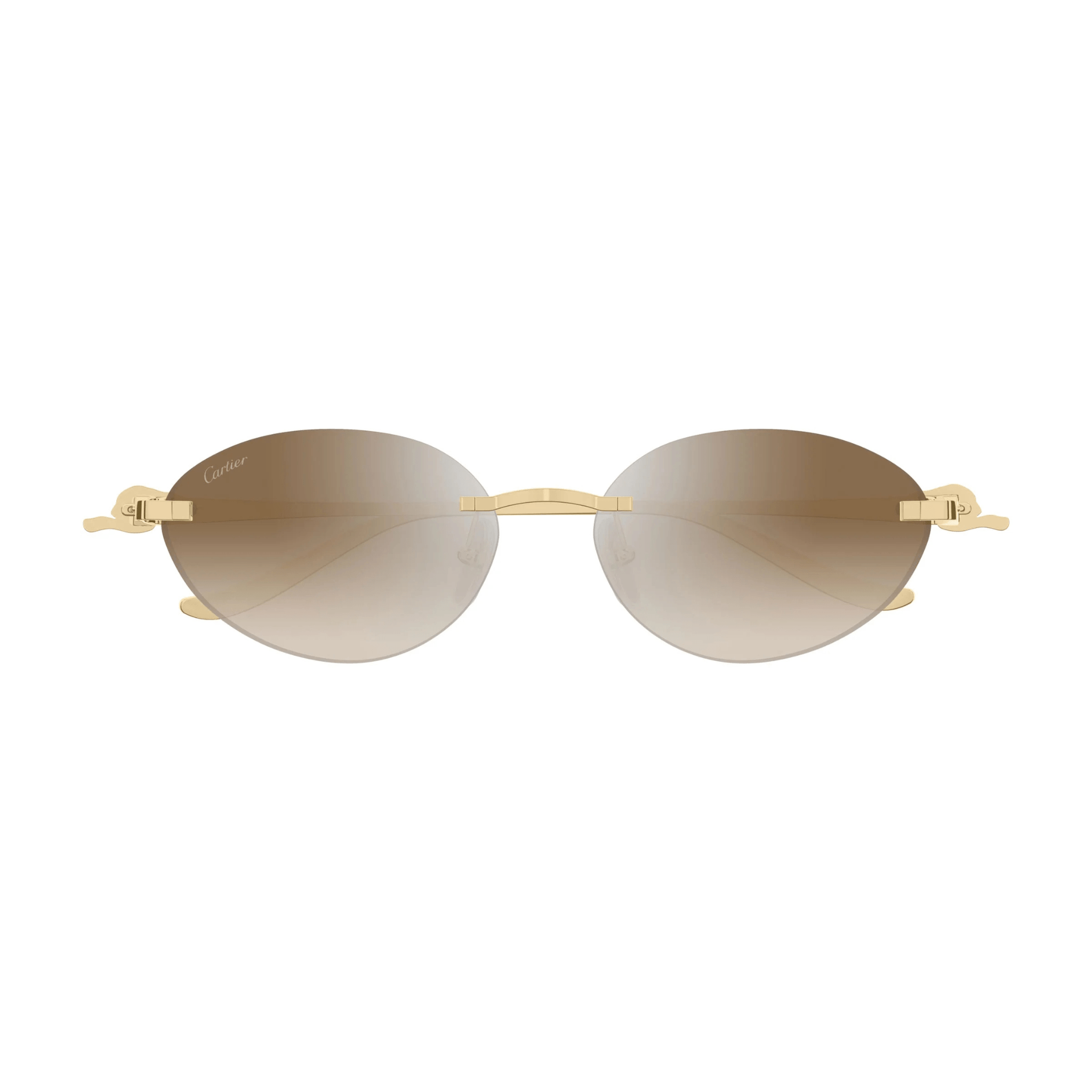 CARTIER CT 0504 - Jorge Oculista