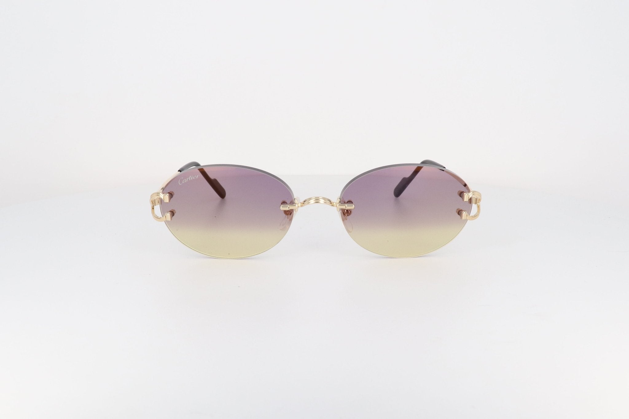 CARTIER CT 0551 - Jorge Oculista