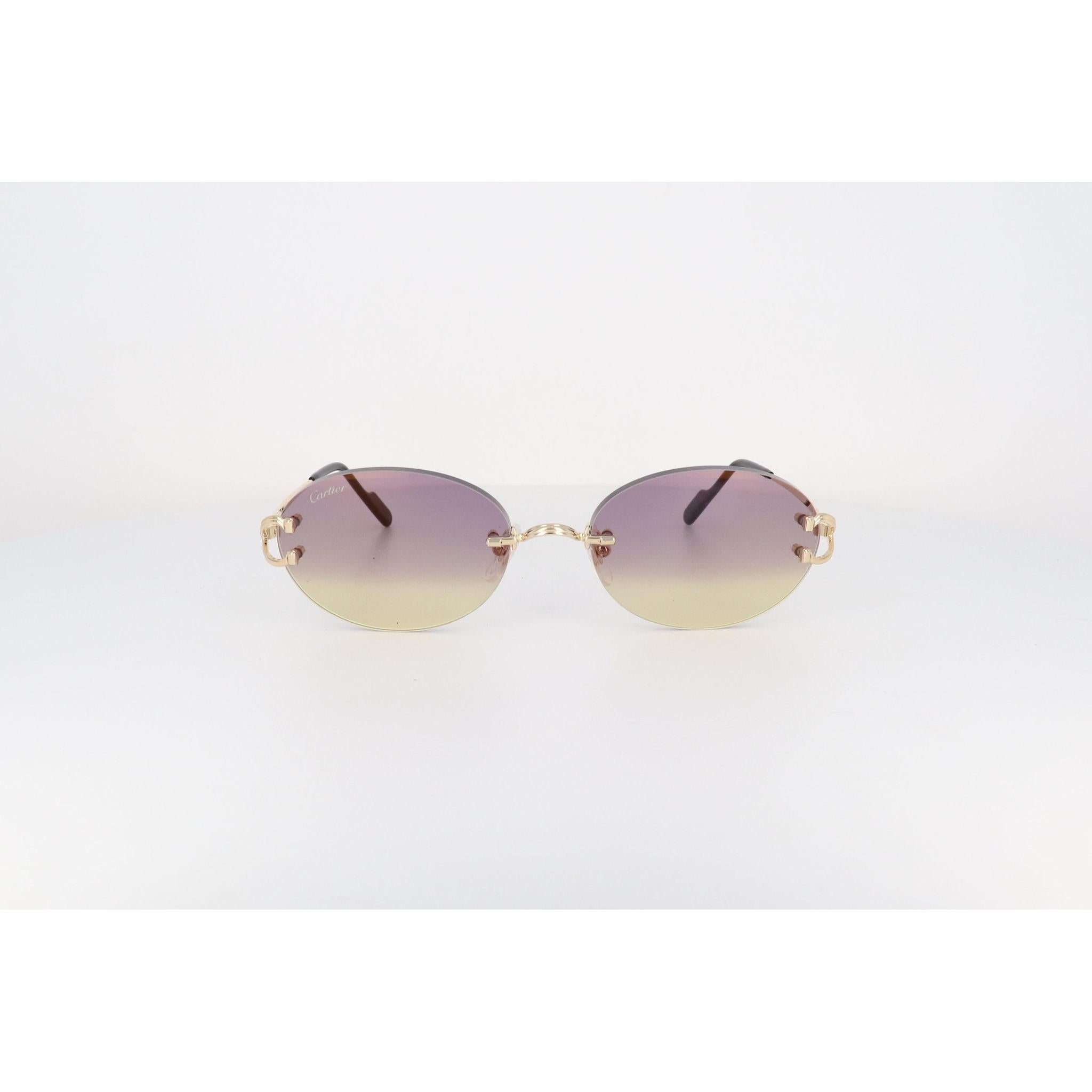 CARTIER CT 0551 - Jorge Oculista