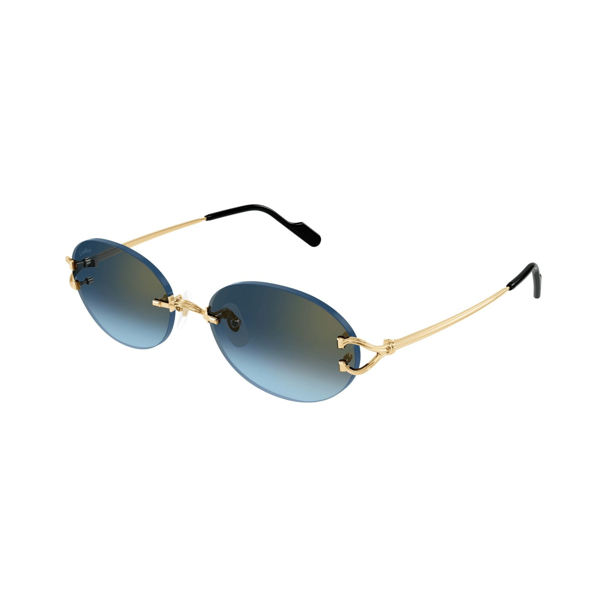CARTIER CT 0551 - Jorge Oculista