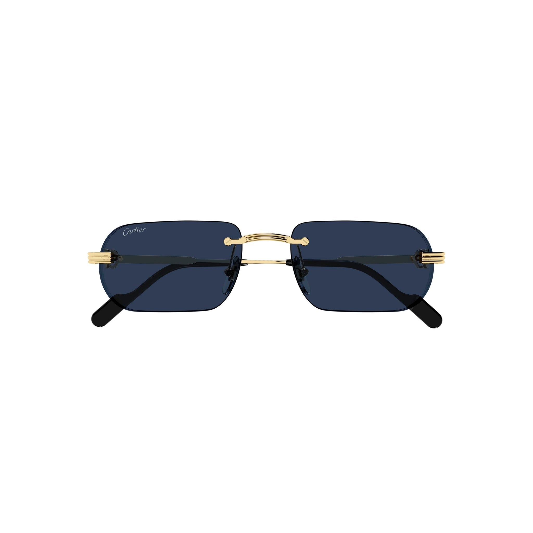 CARTIER CT 0577 - Jorge Oculista