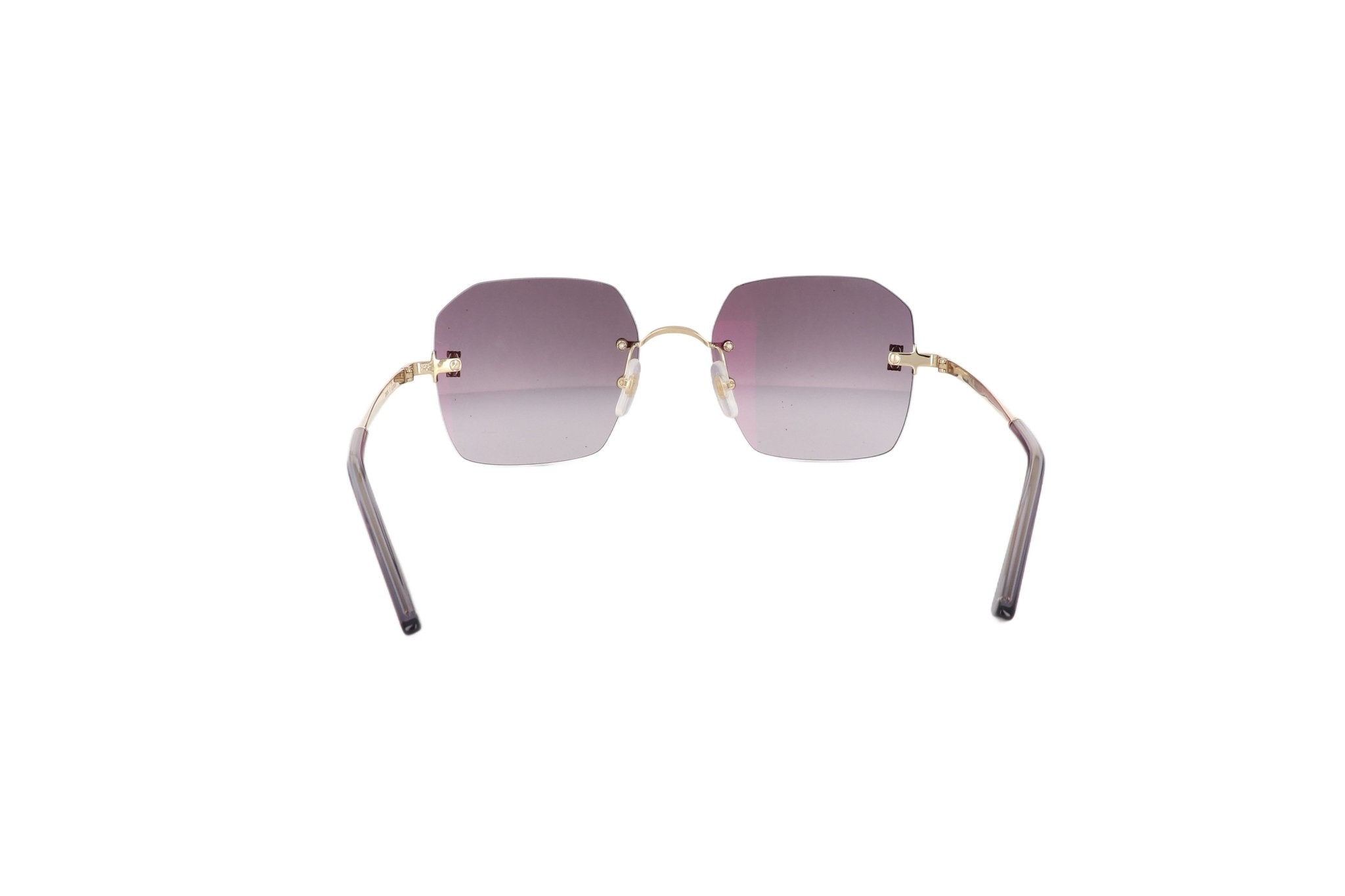 CARTIER CT 0591 - Jorge Oculista