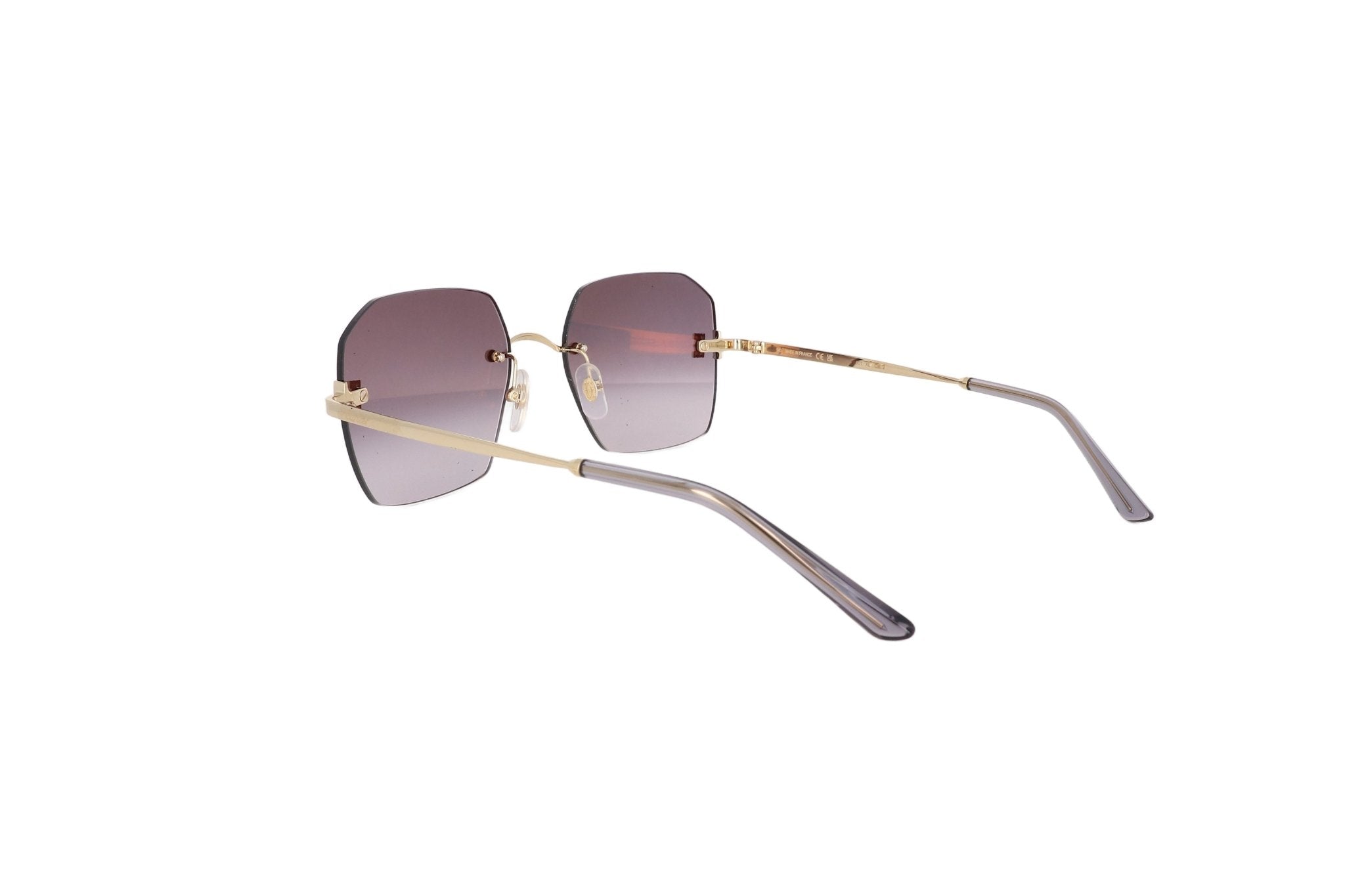 CARTIER CT 0591 - Jorge Oculista