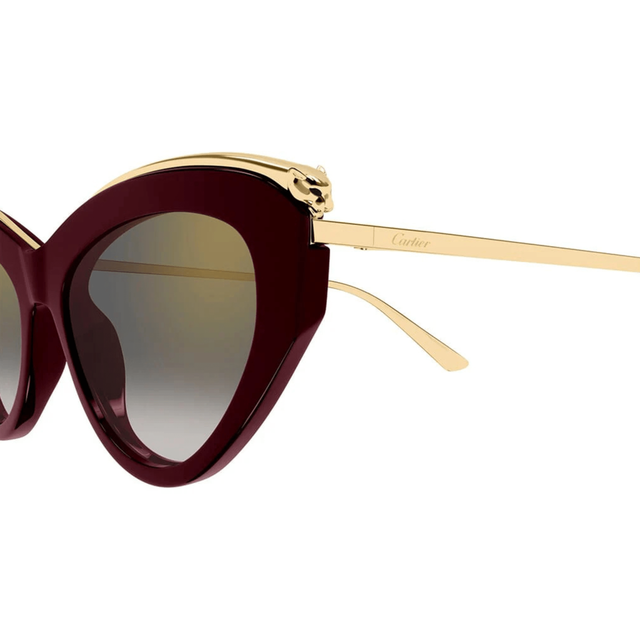 CARTIER CT 0596 - Jorge Oculista