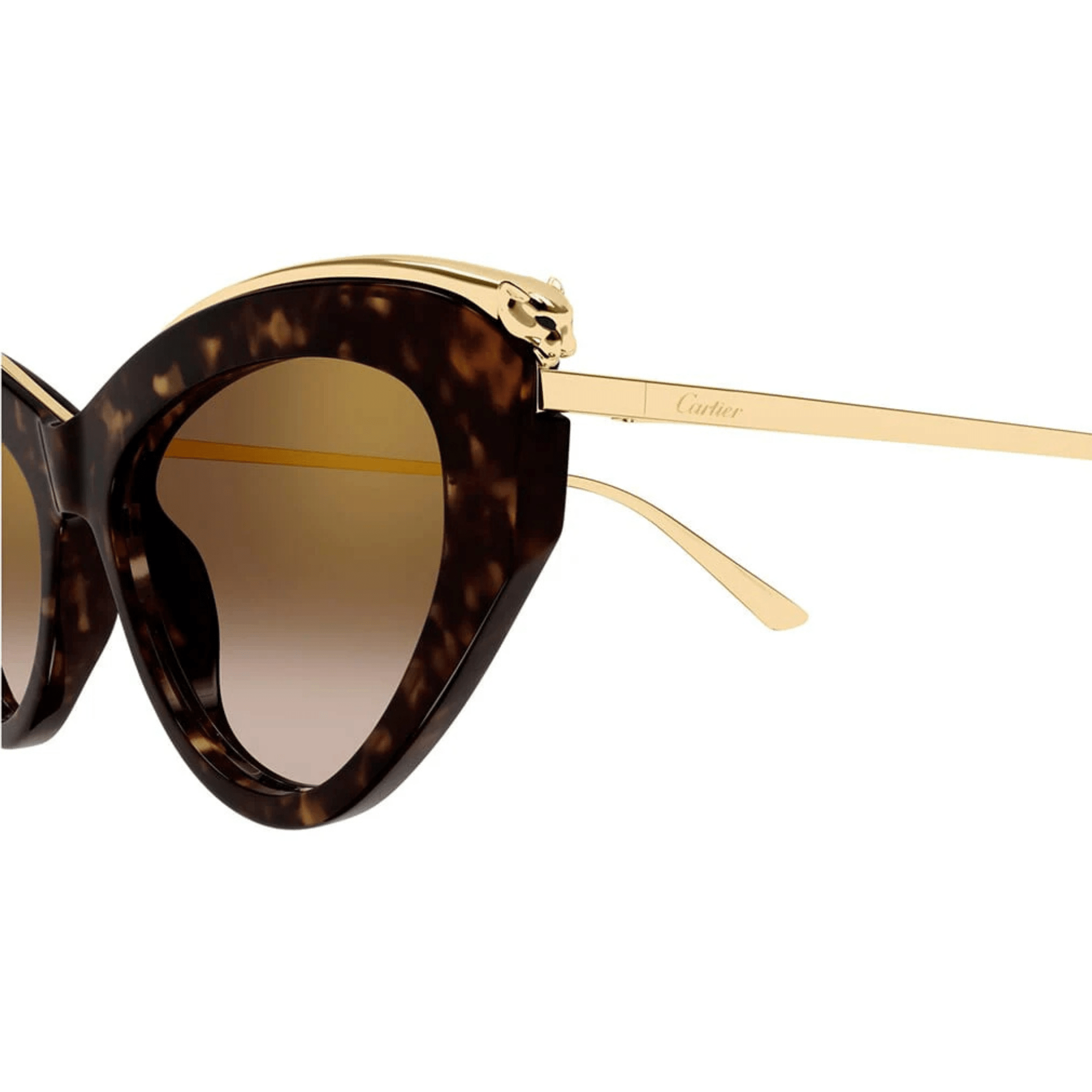 CARTIER CT 0596 - Jorge Oculista