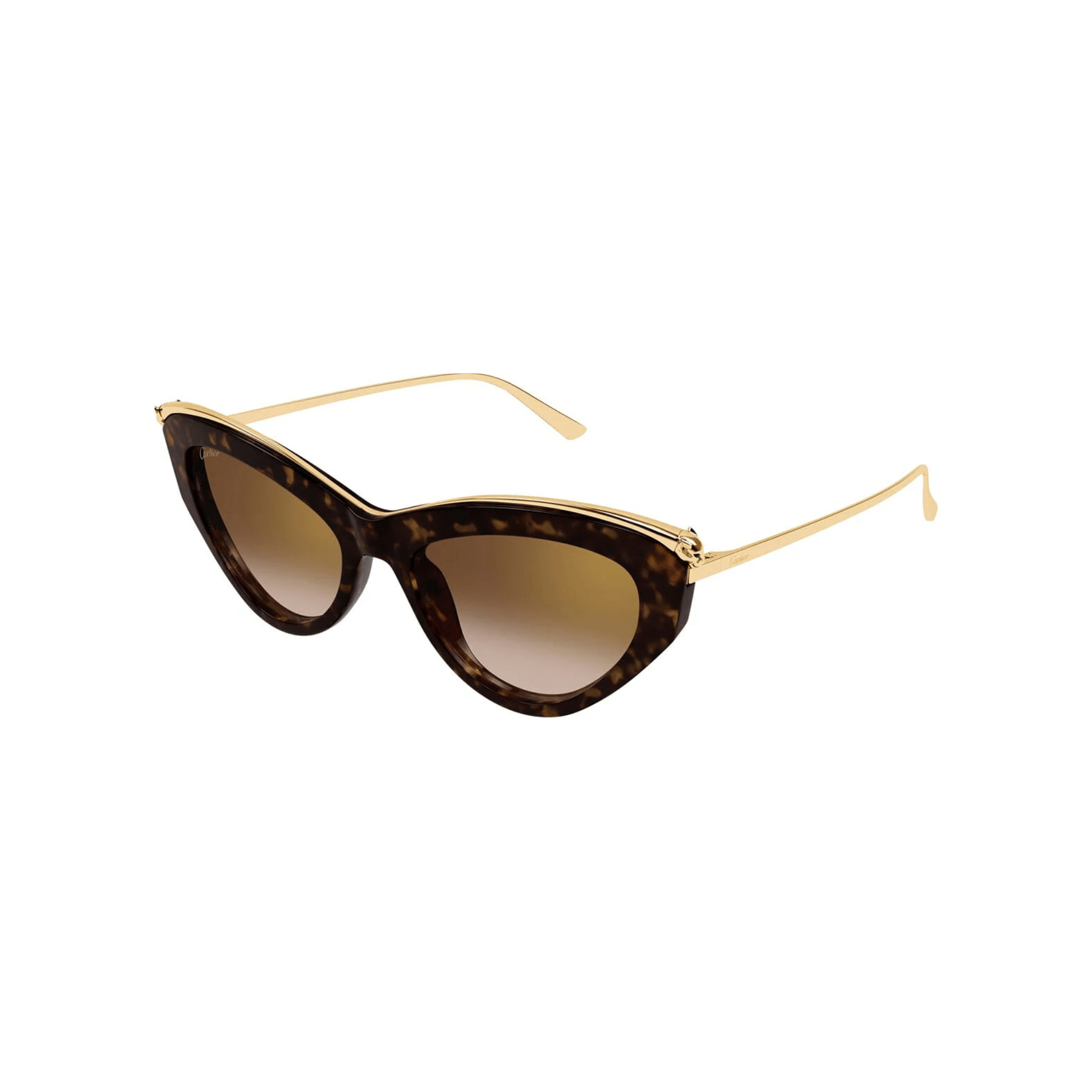 CARTIER CT 0596 - Jorge Oculista