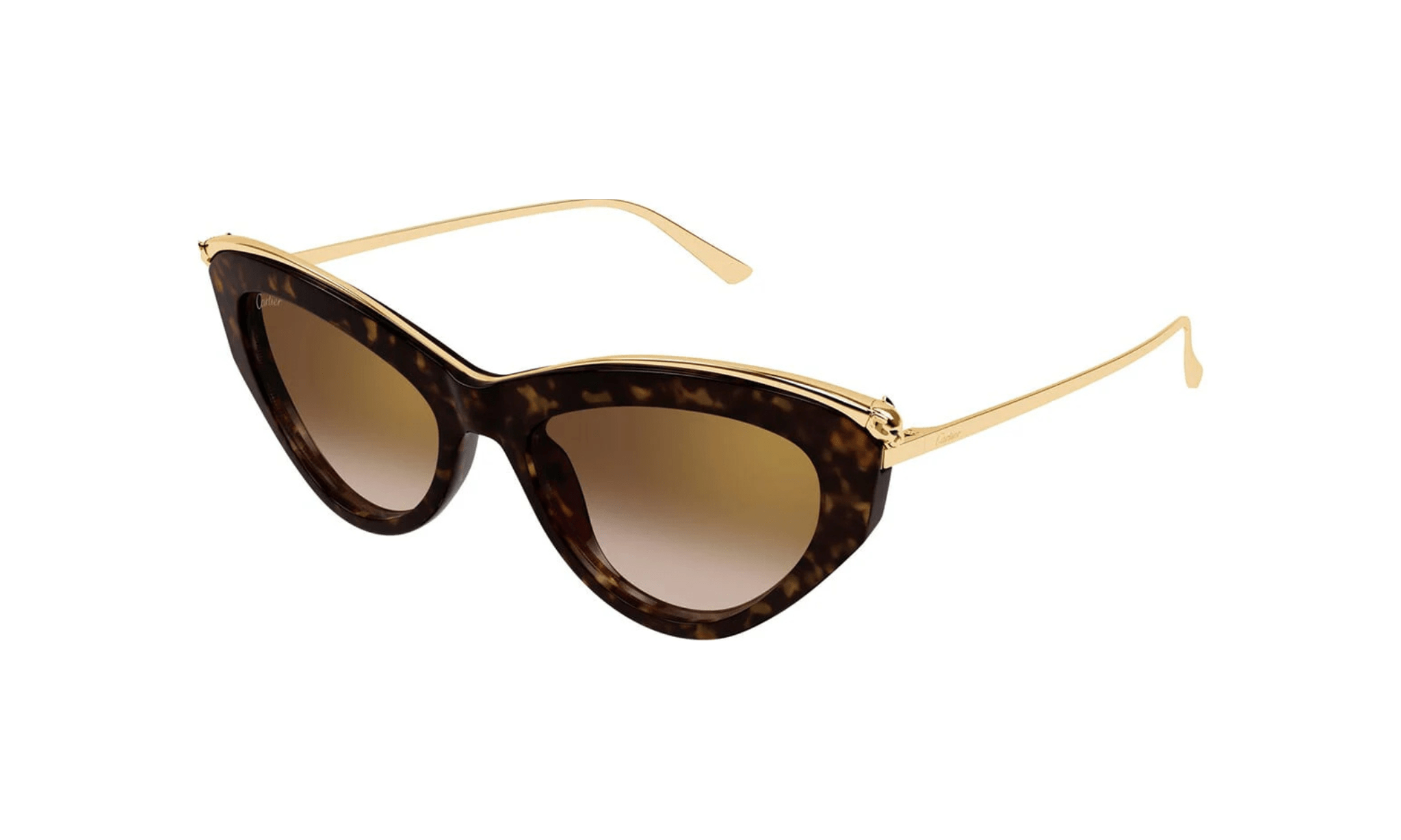 CARTIER CT 0596 - Jorge Oculista