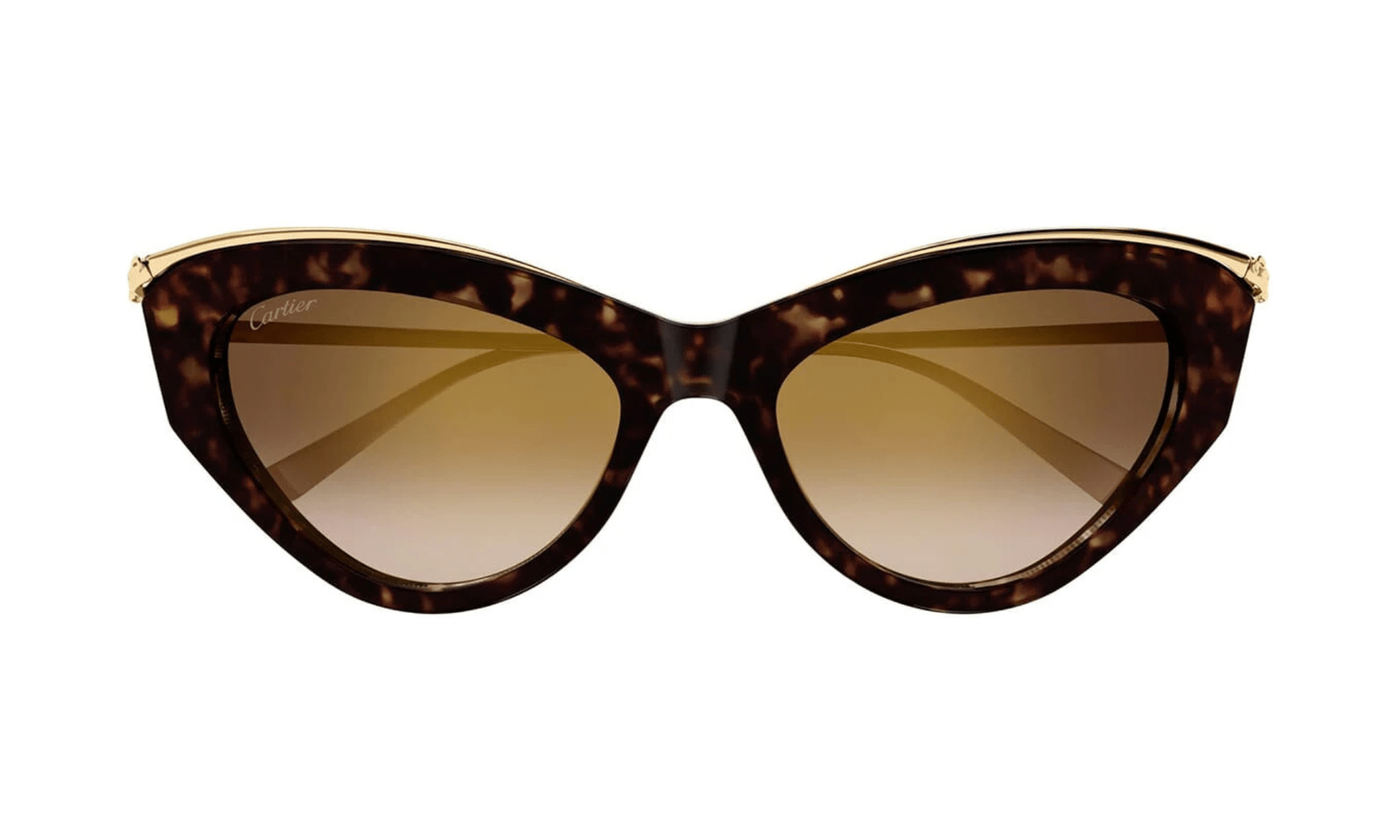 CARTIER CT 0596 - Jorge Oculista