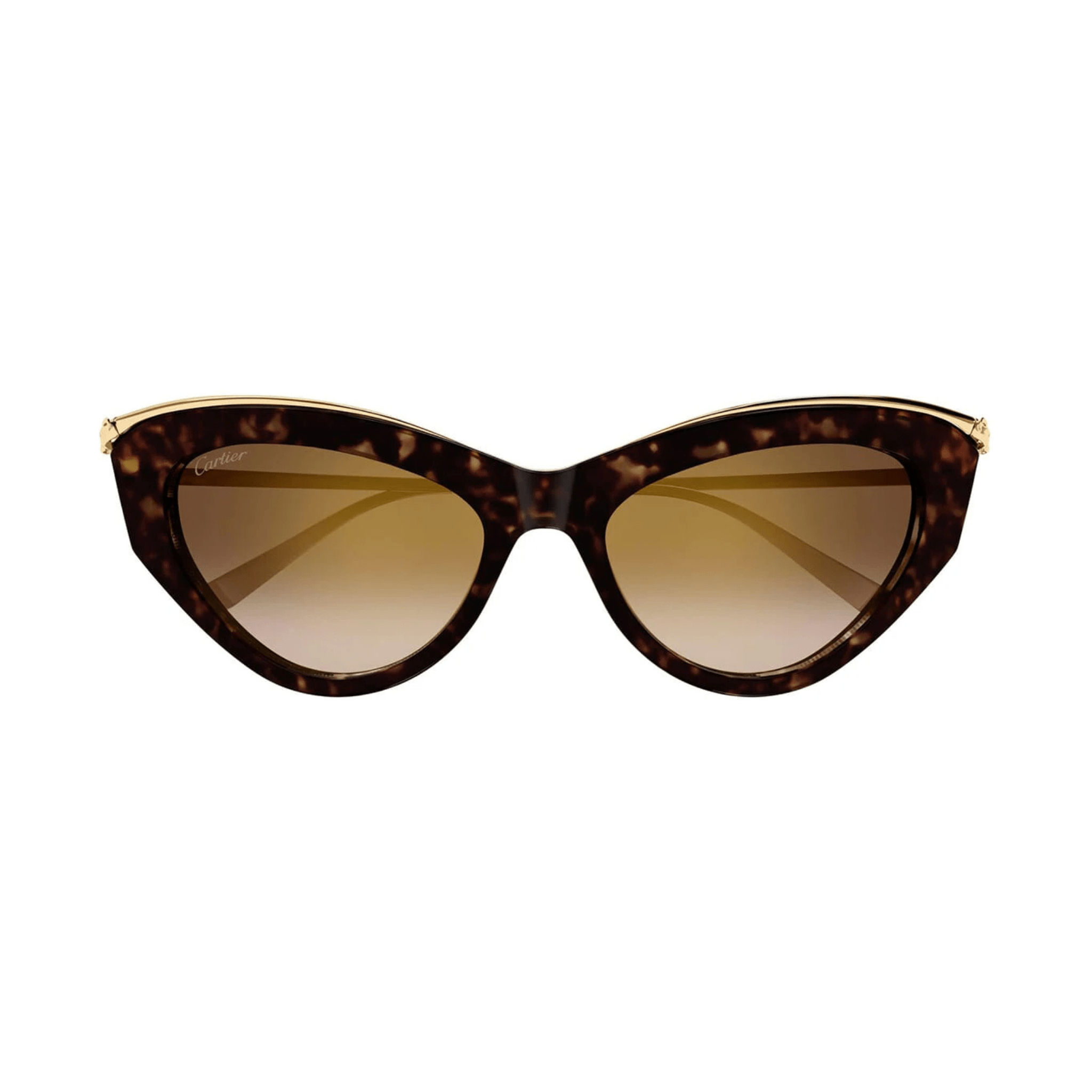 CARTIER CT 0596 - Jorge Oculista