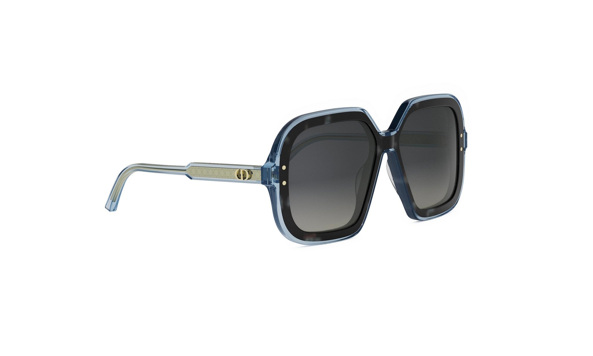 DIORHIGHLIGHT S1I SQUARE SUNGLASSES - Jorge Oculista
