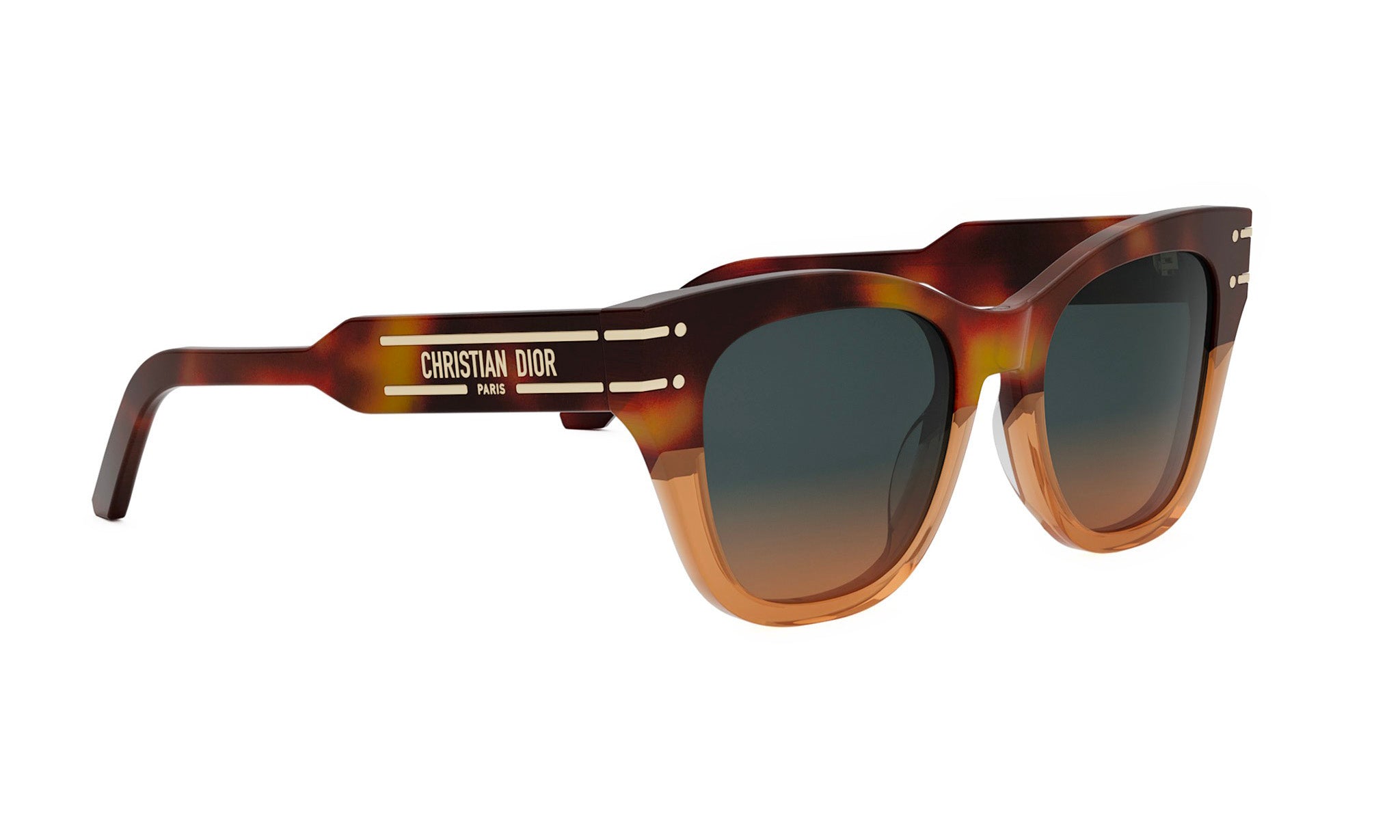 DIORSIGNATURE B4I BUTTERFLY SUNGLASSES - Jorge Oculista