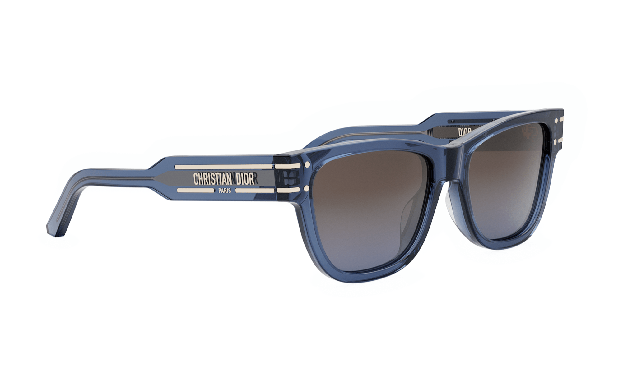 DIORSIGNATURE S6U BUTTERFLY SUNGLASSES - Jorge Oculista