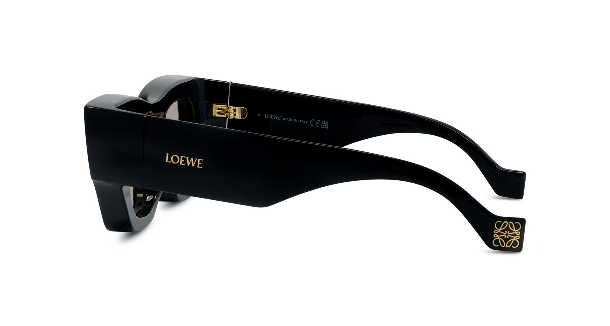 A pair of black sunglasses with gold accents, featuring the LEOWE brand name prominently displayed on the frame.