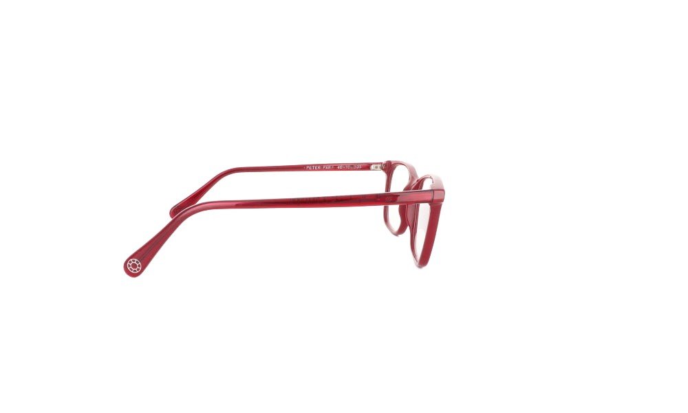 GEMA PETER PAN - Jorge Oculista