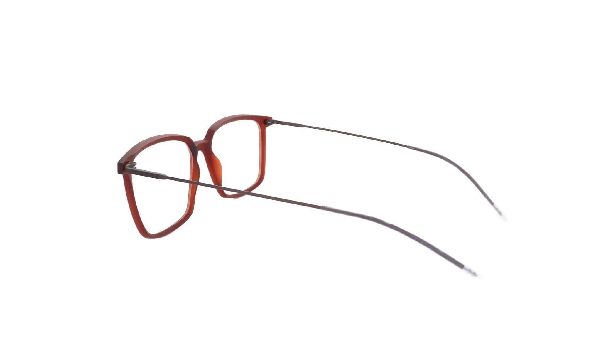 LOOL CASTOR - Jorge Oculista