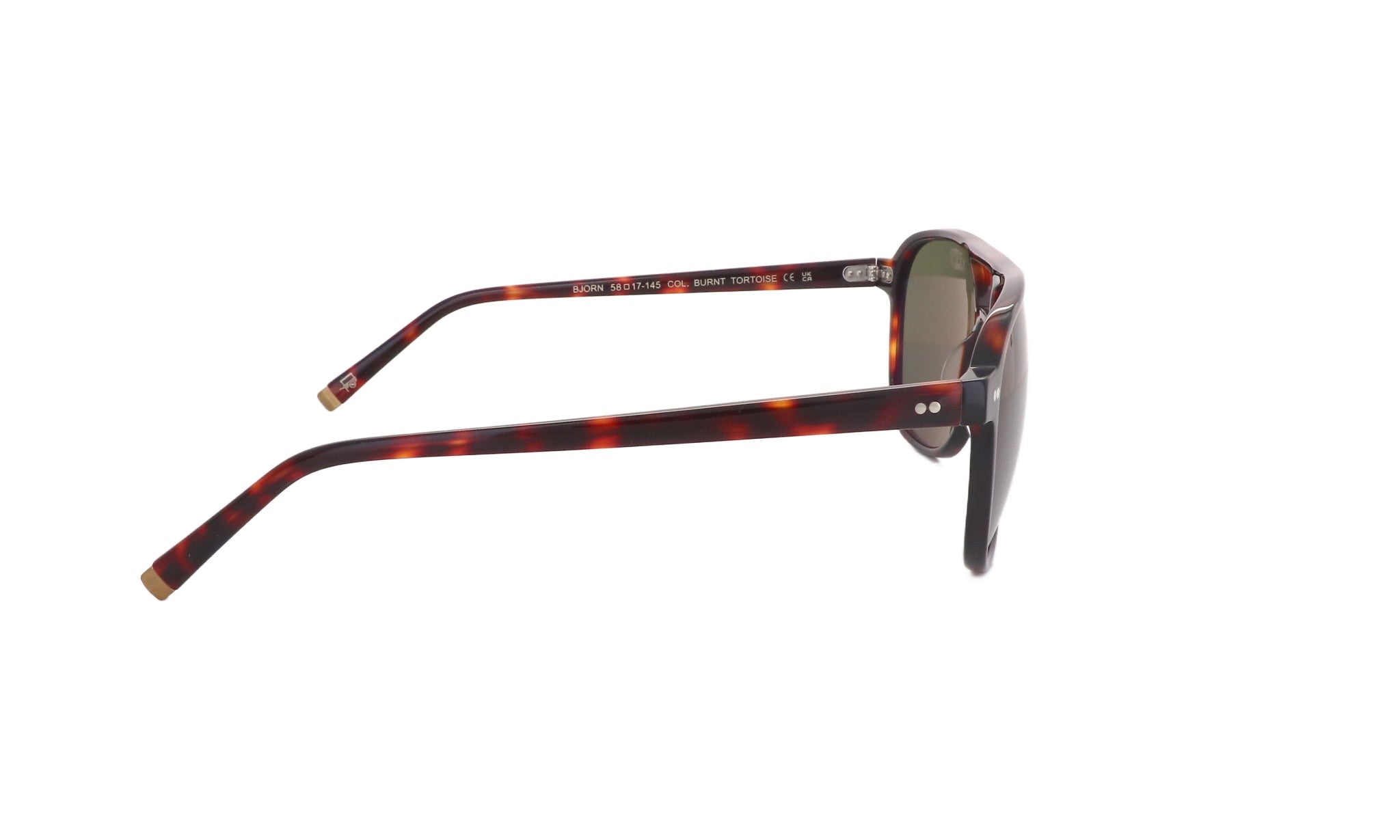 MOSCOT M BJORN - Jorge Oculista