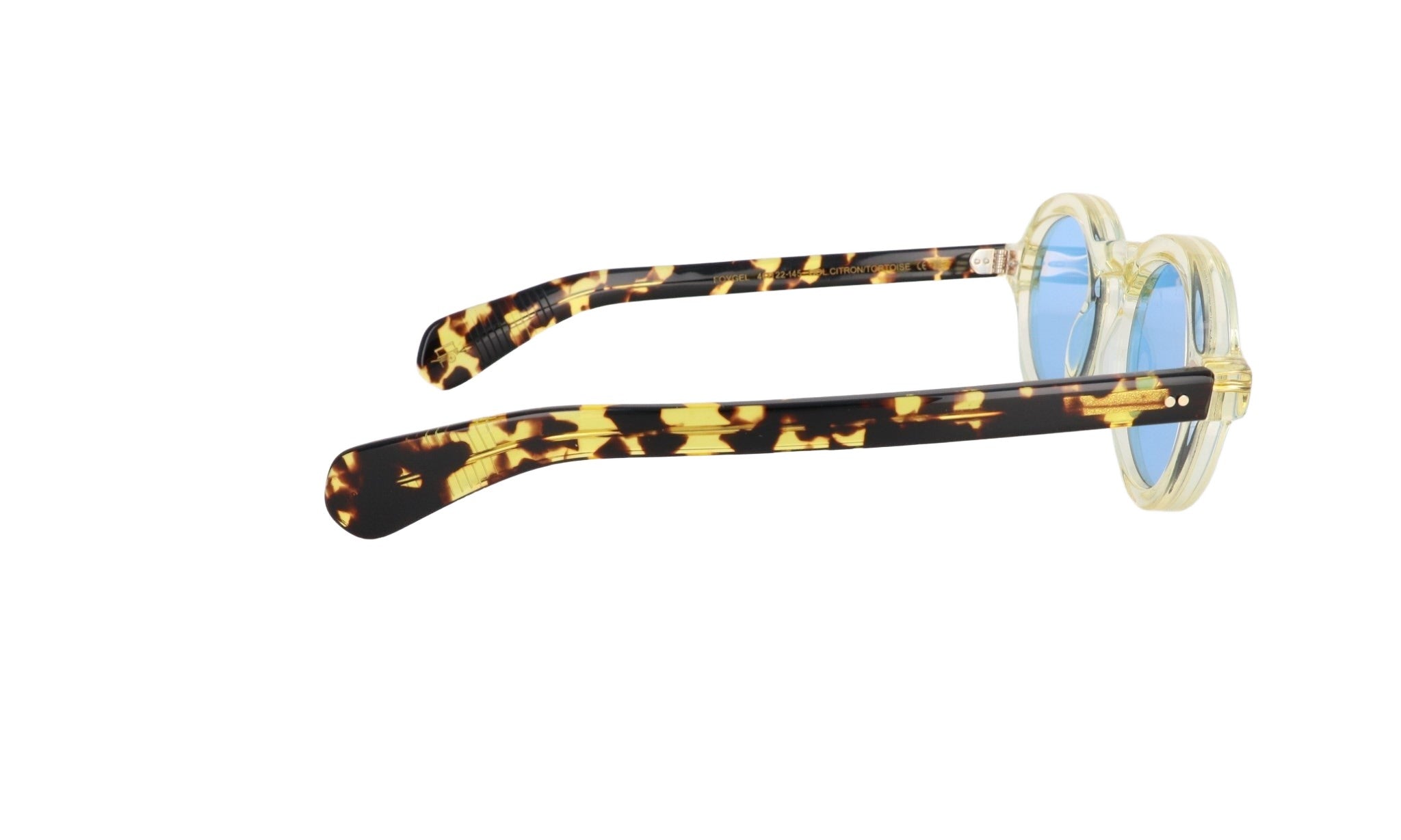 MOSCOT M FOYGEL - Jorge Oculista