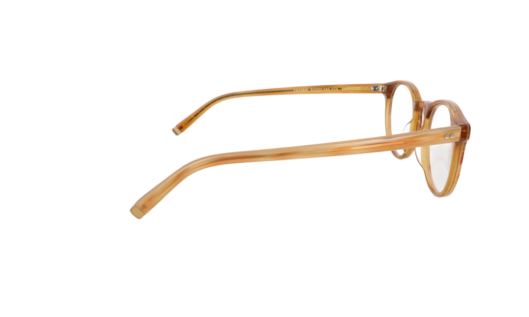 MOSCOT M FRANKIE - Jorge Oculista