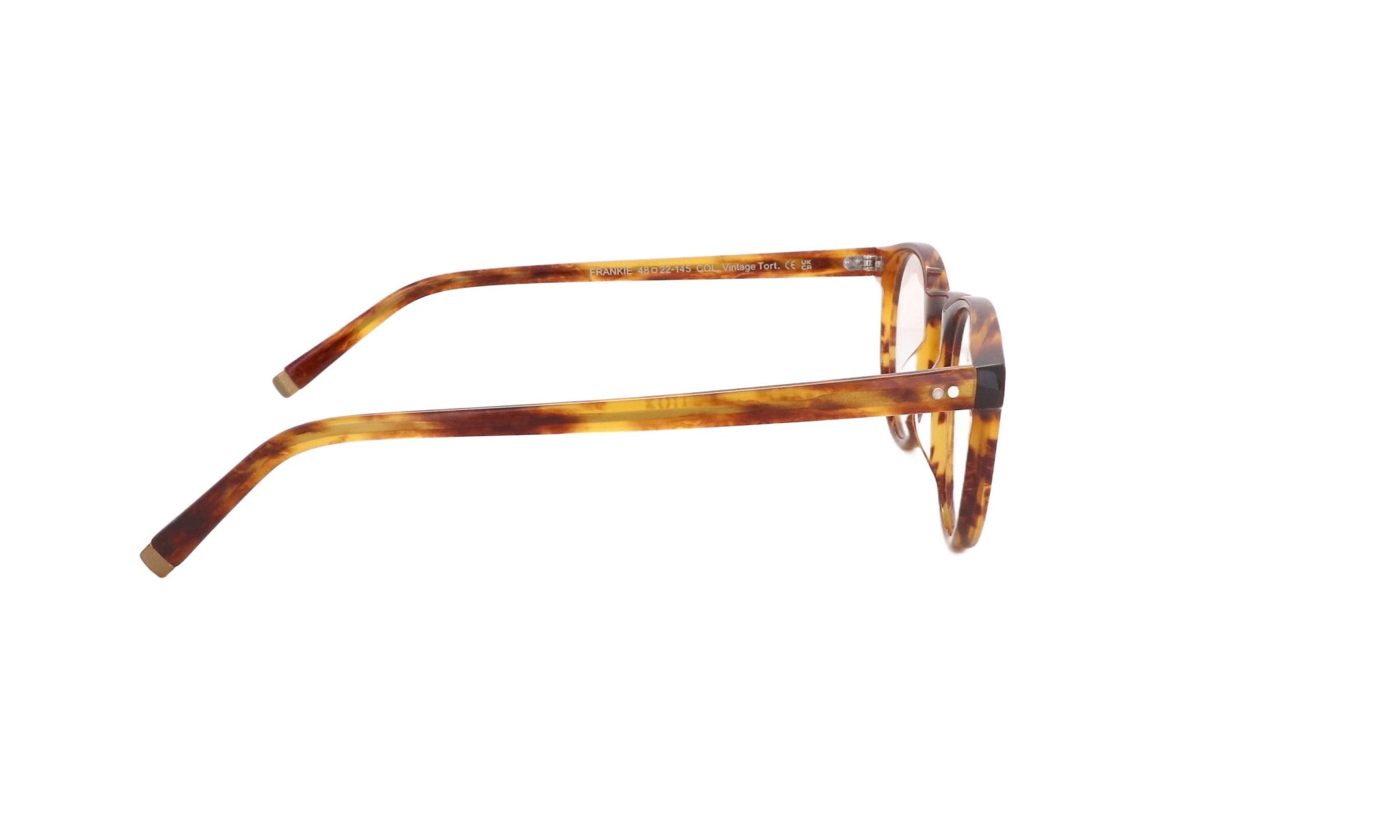 MOSCOT M FRANKIE - Jorge Oculista