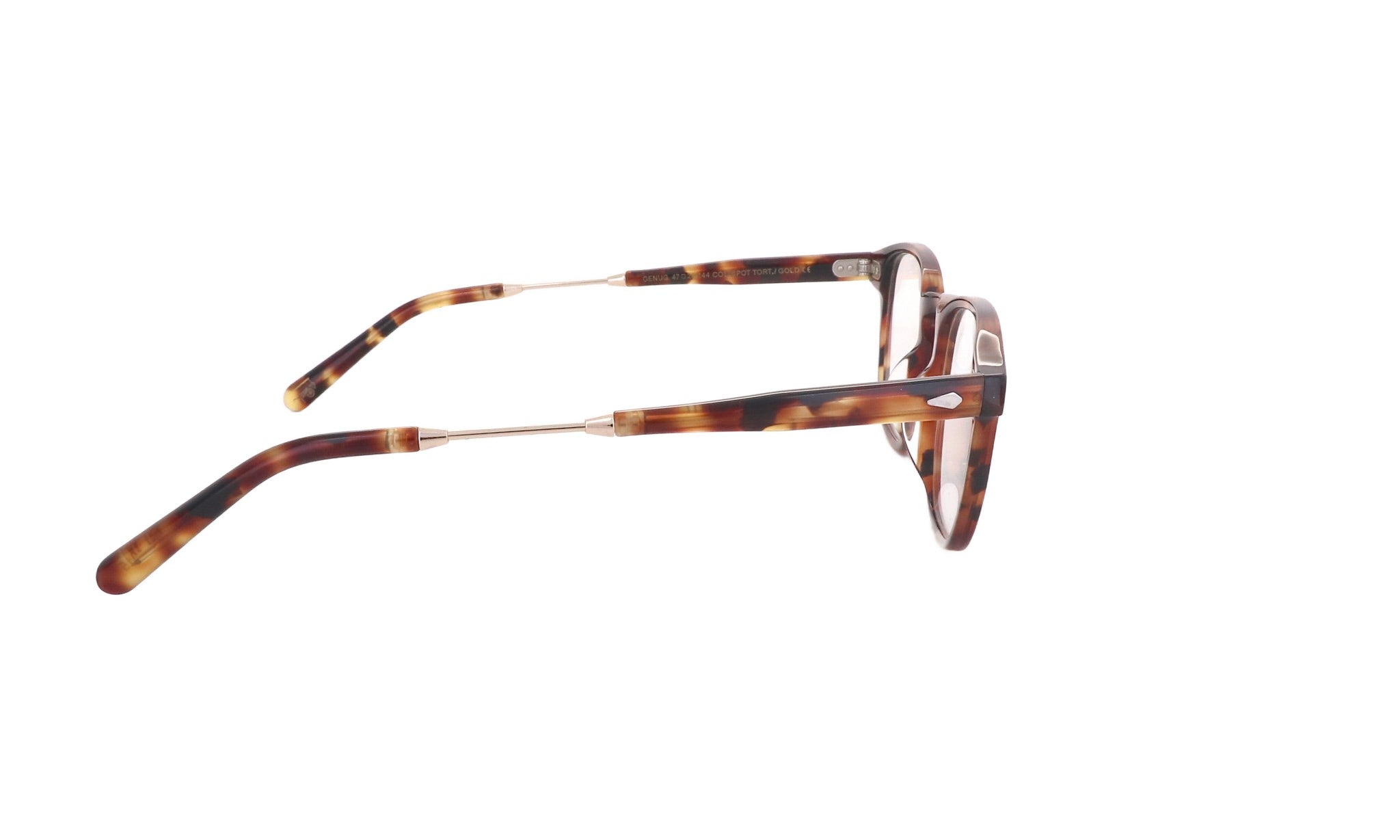 MOSCOT M GENUG - Jorge Oculista