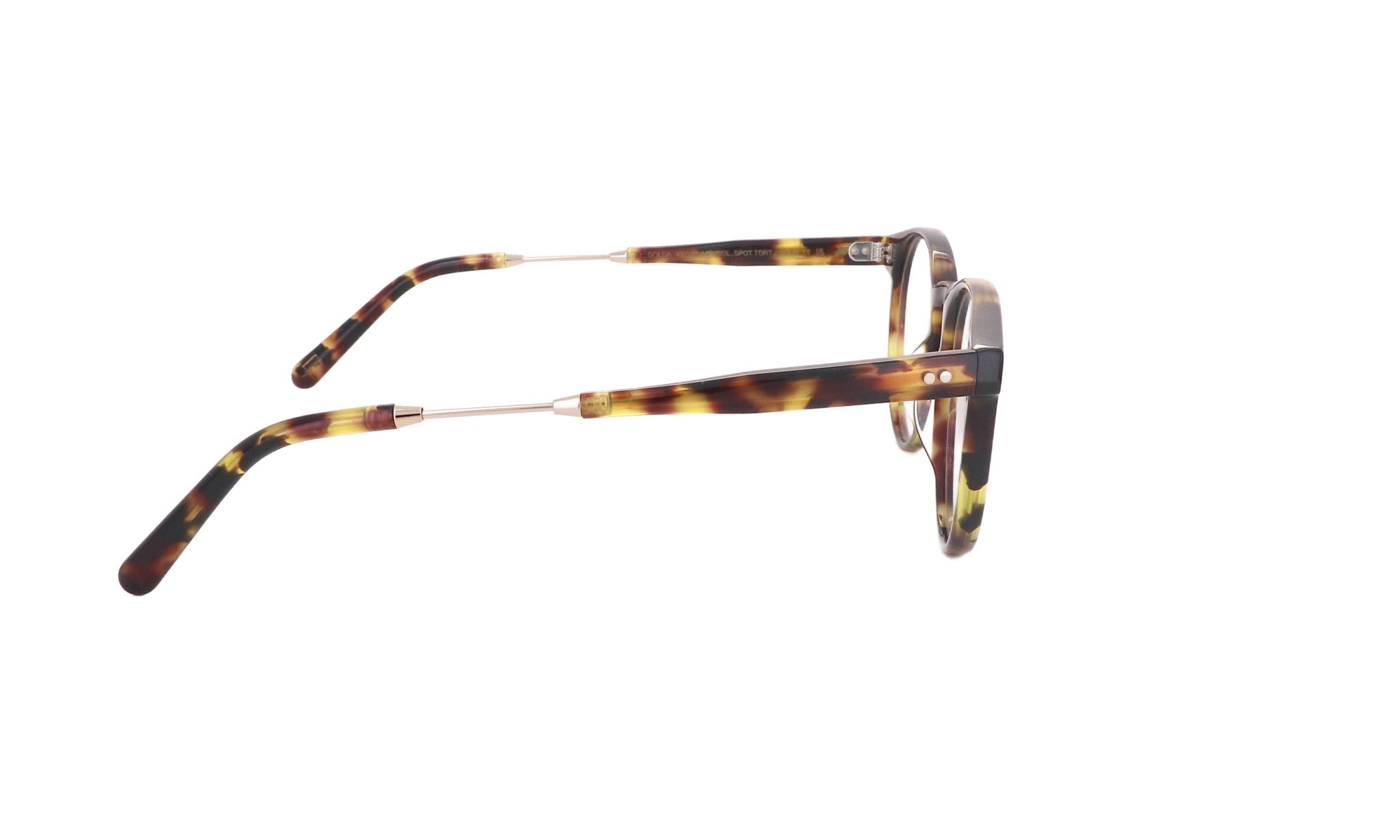 MOSCOT M GOLDA - Jorge Oculista